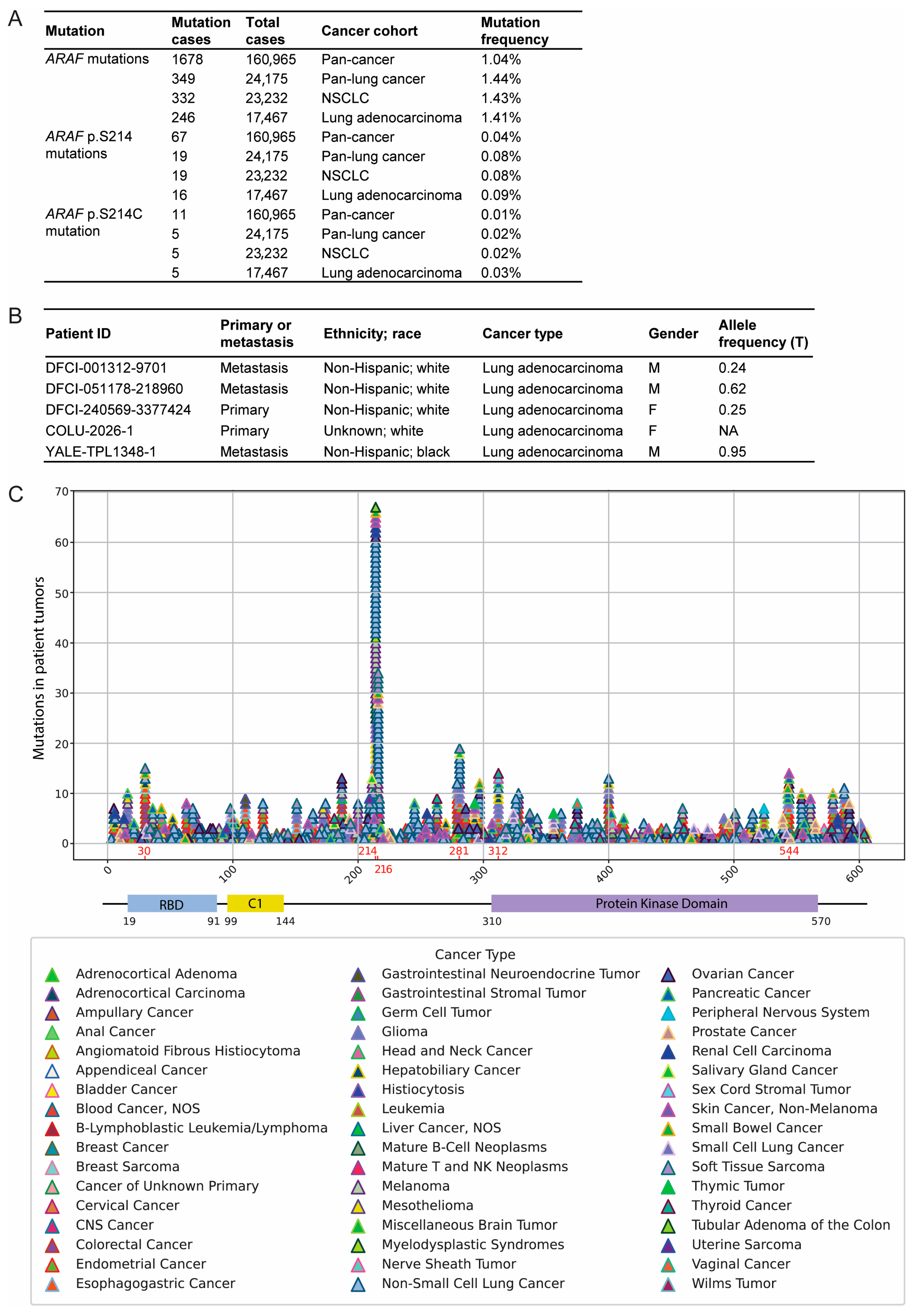 Cancers 17 02246 g001