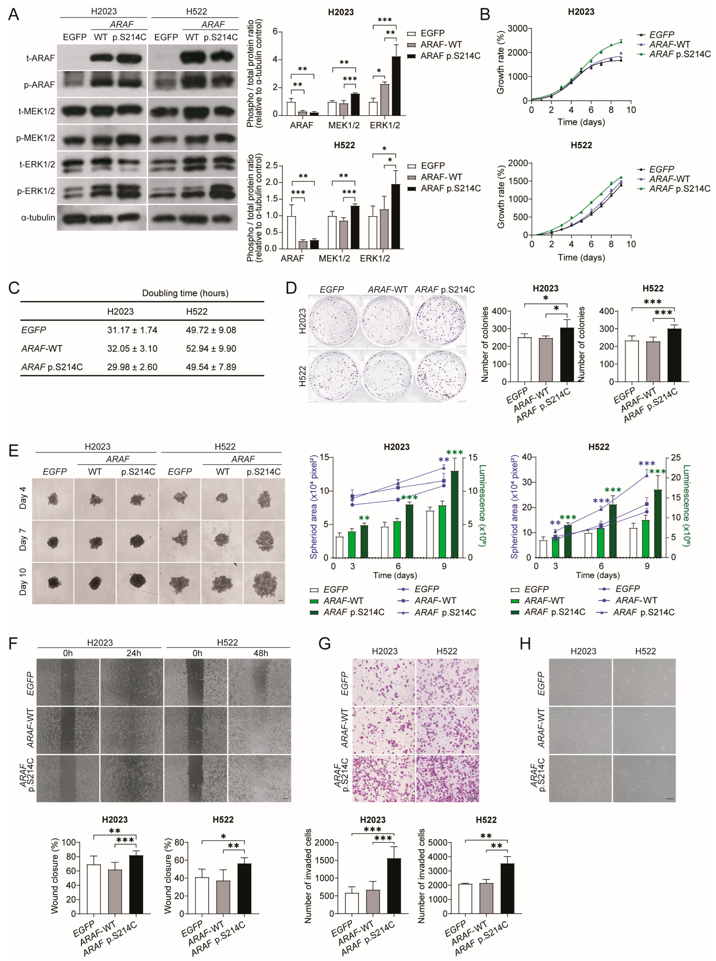 Cancers 17 02246 g002