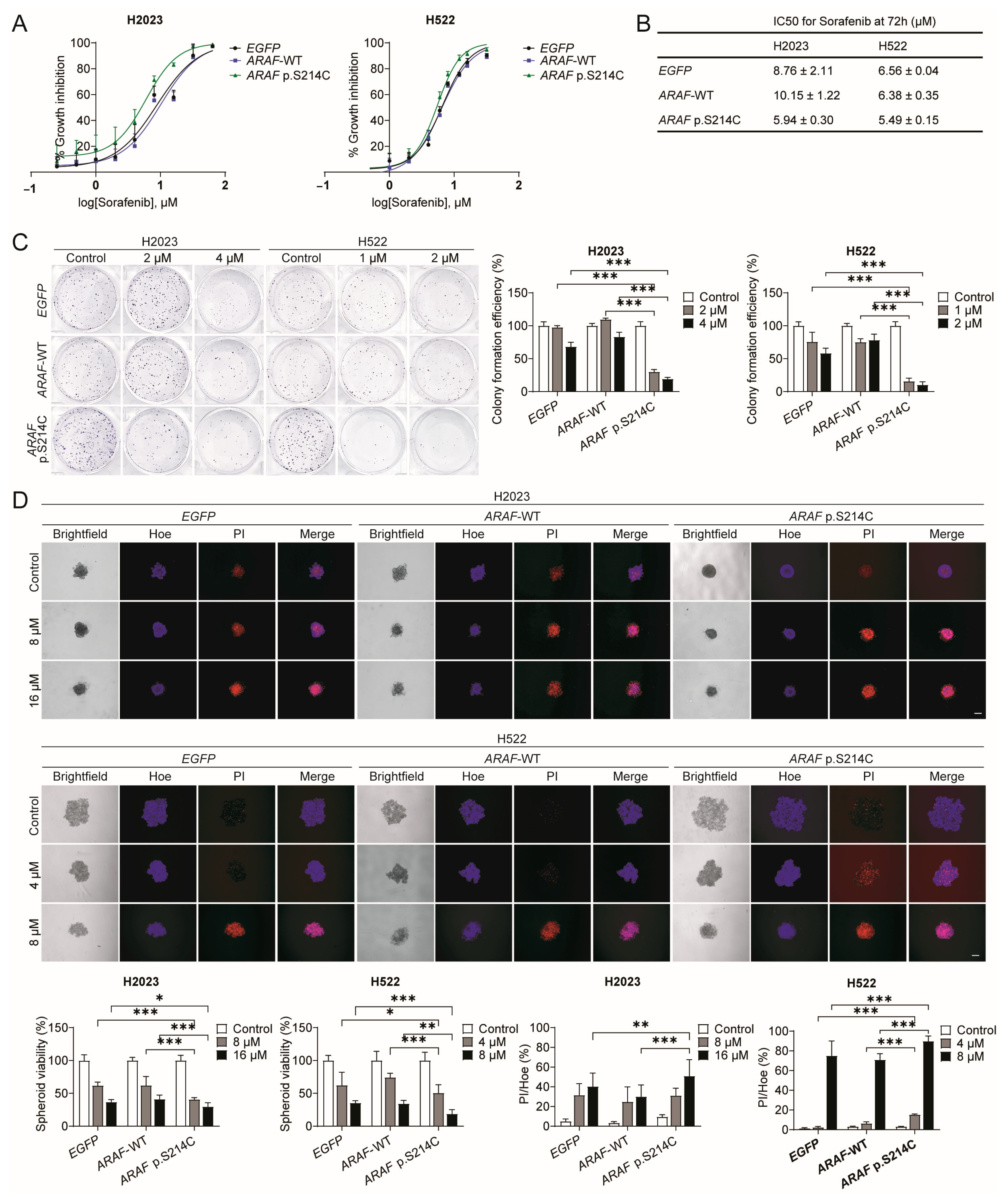 Cancers 17 02246 g003