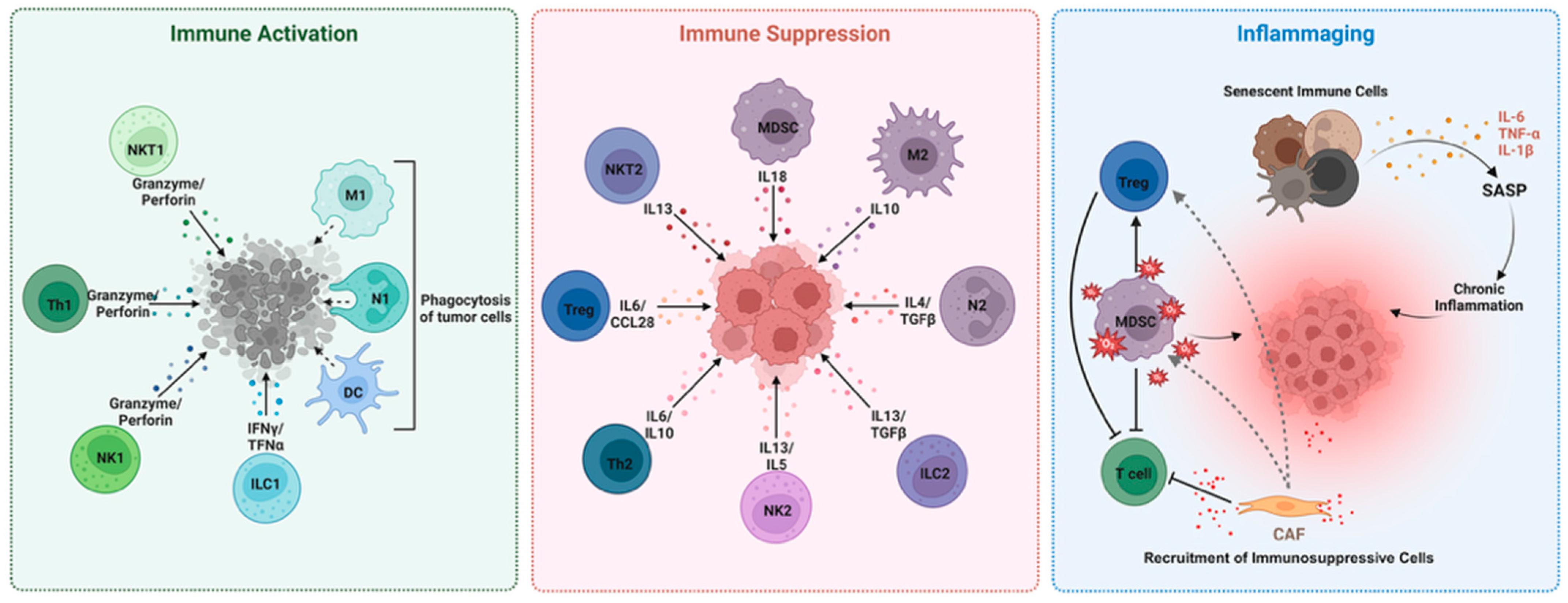 Cancers 17 02251 g001