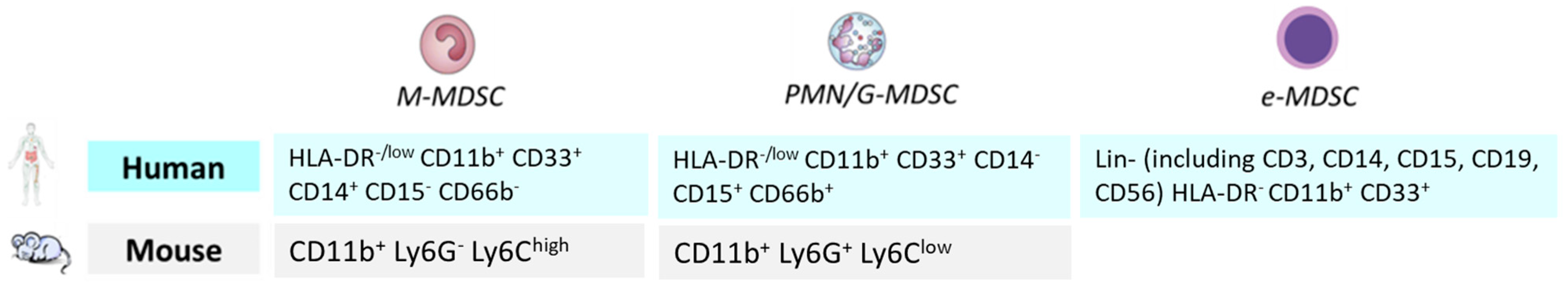 Cancers 17 02251 g002