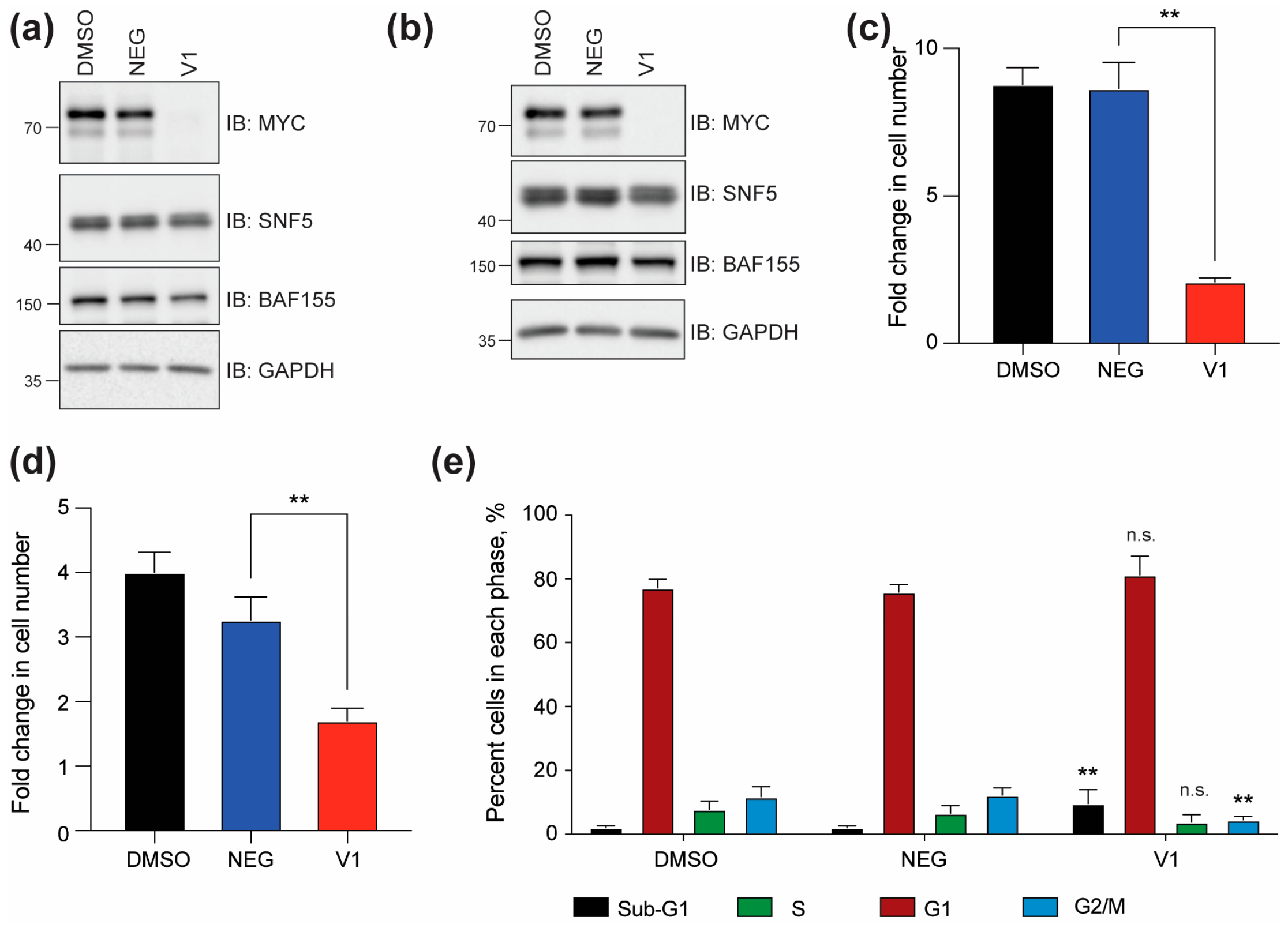 Cancers 17 02255 g001