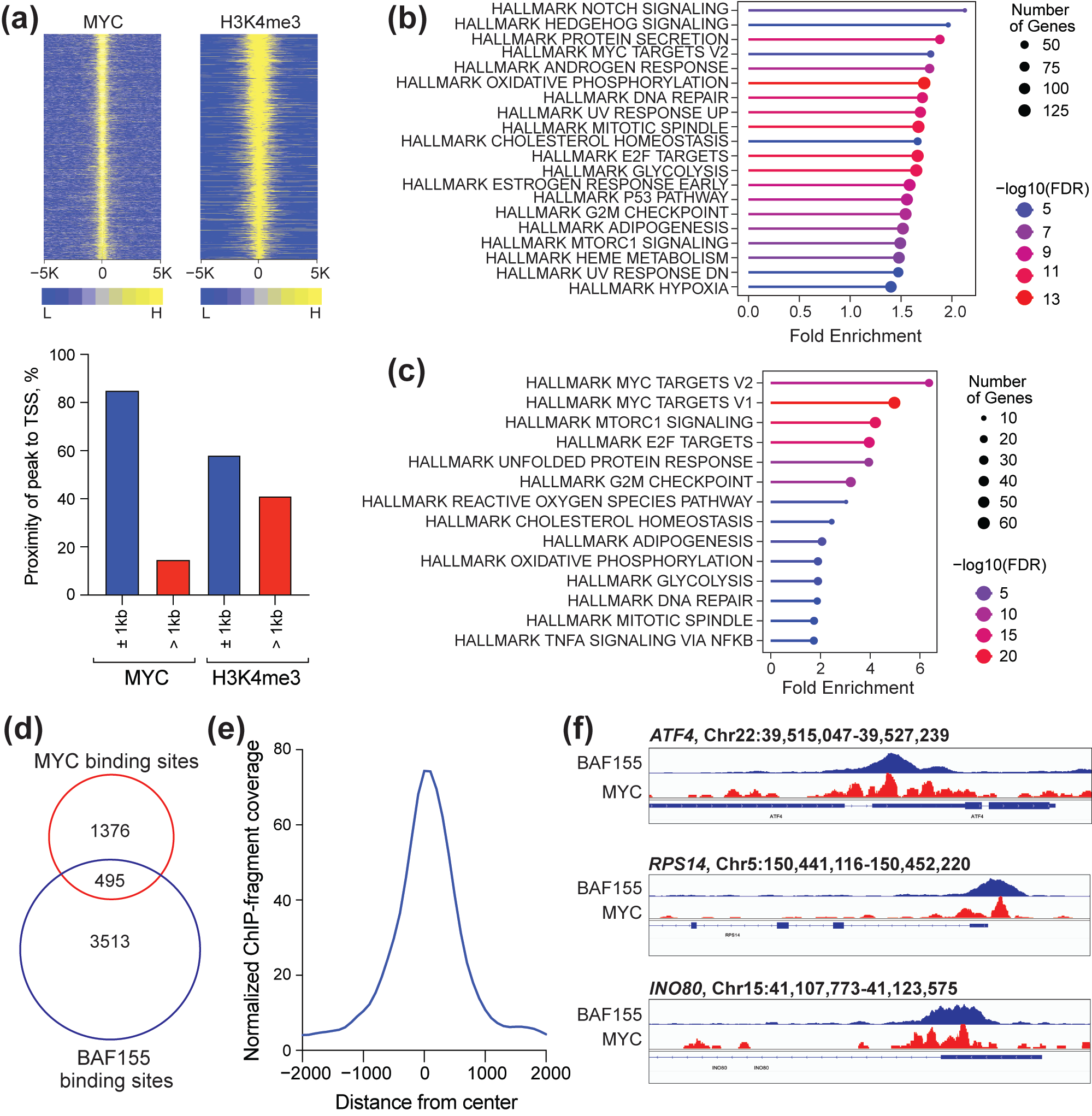 Cancers 17 02255 g002