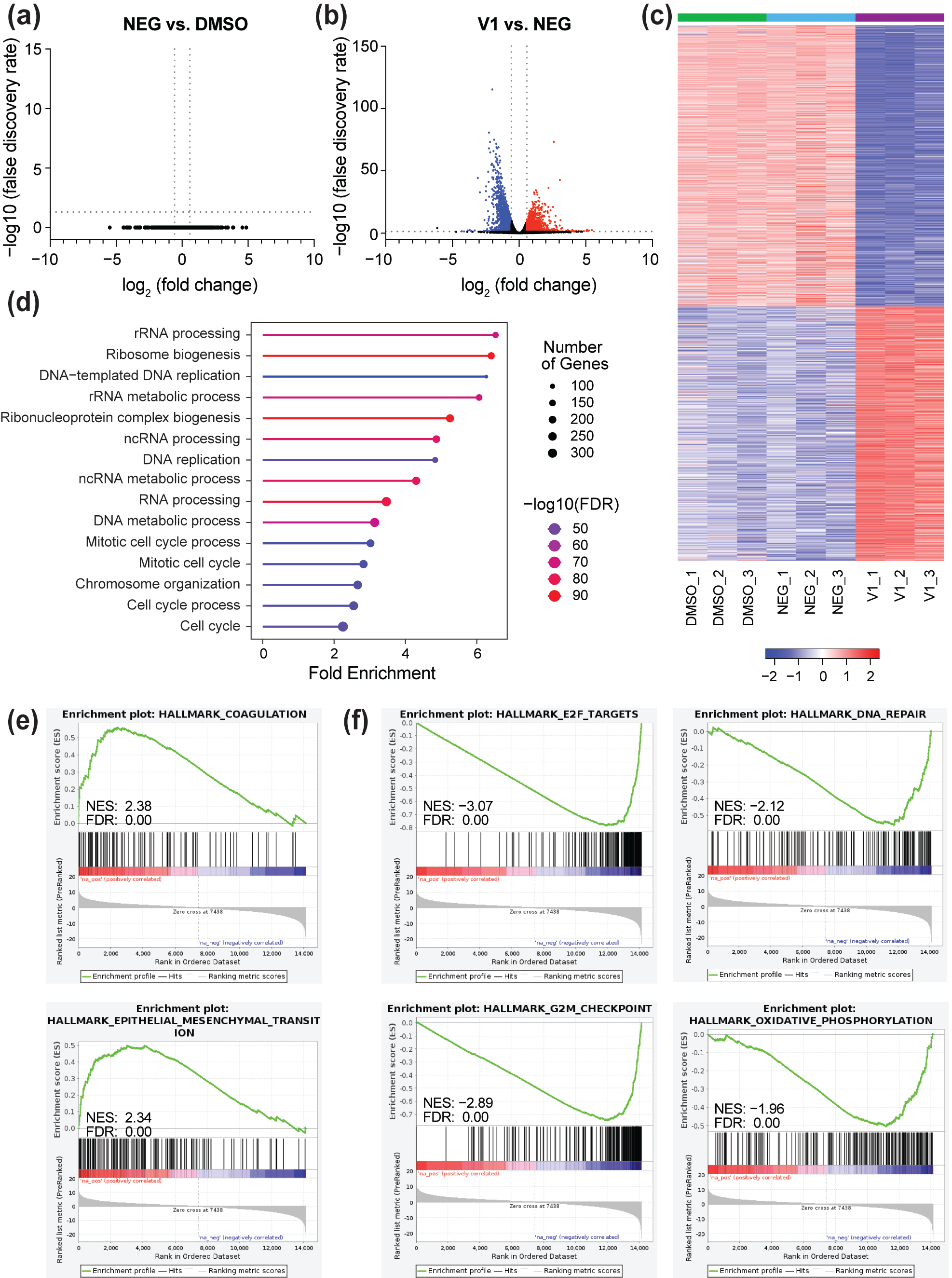 Cancers 17 02255 g003