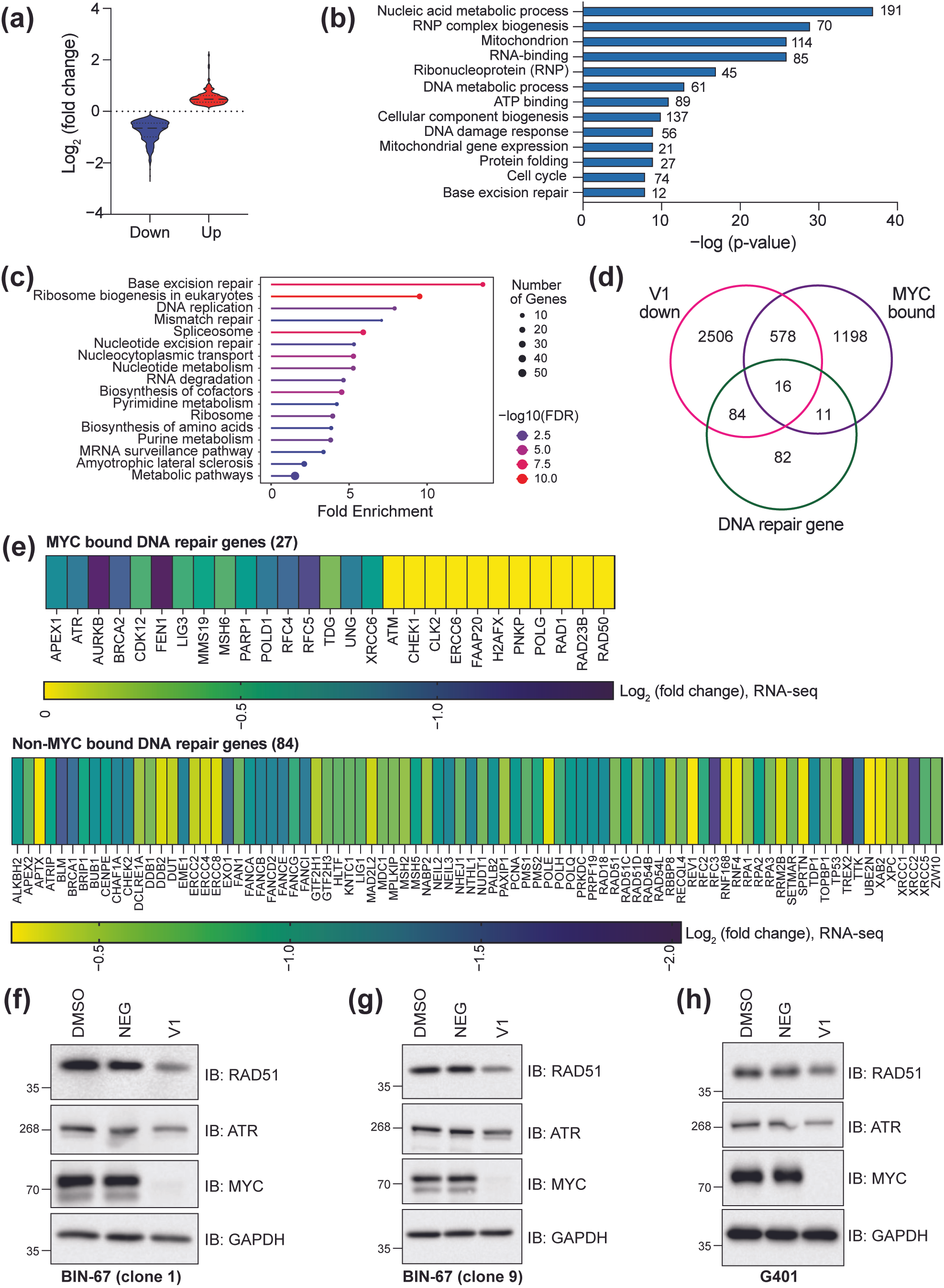 Cancers 17 02255 g004