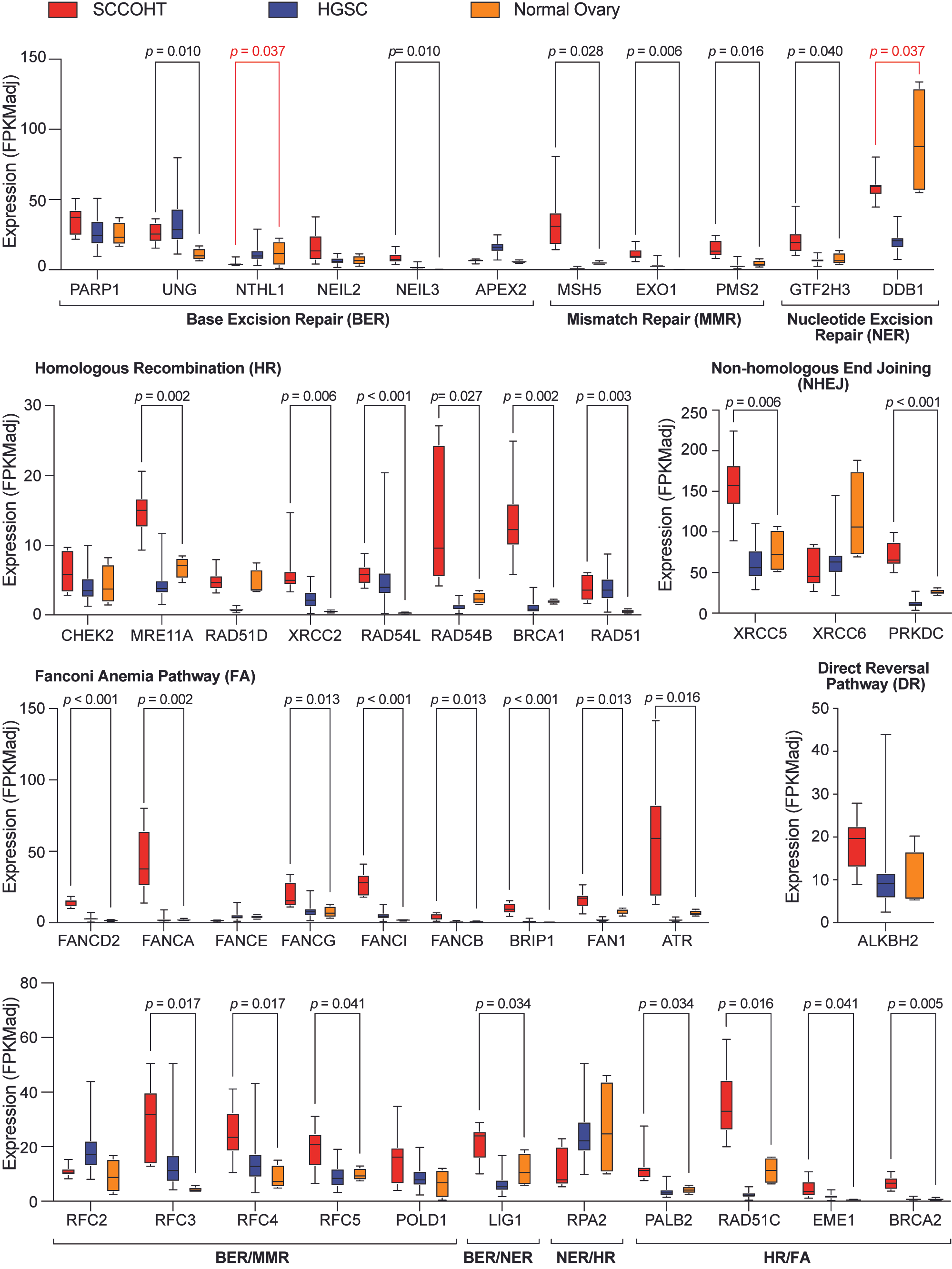 Cancers 17 02255 g006
