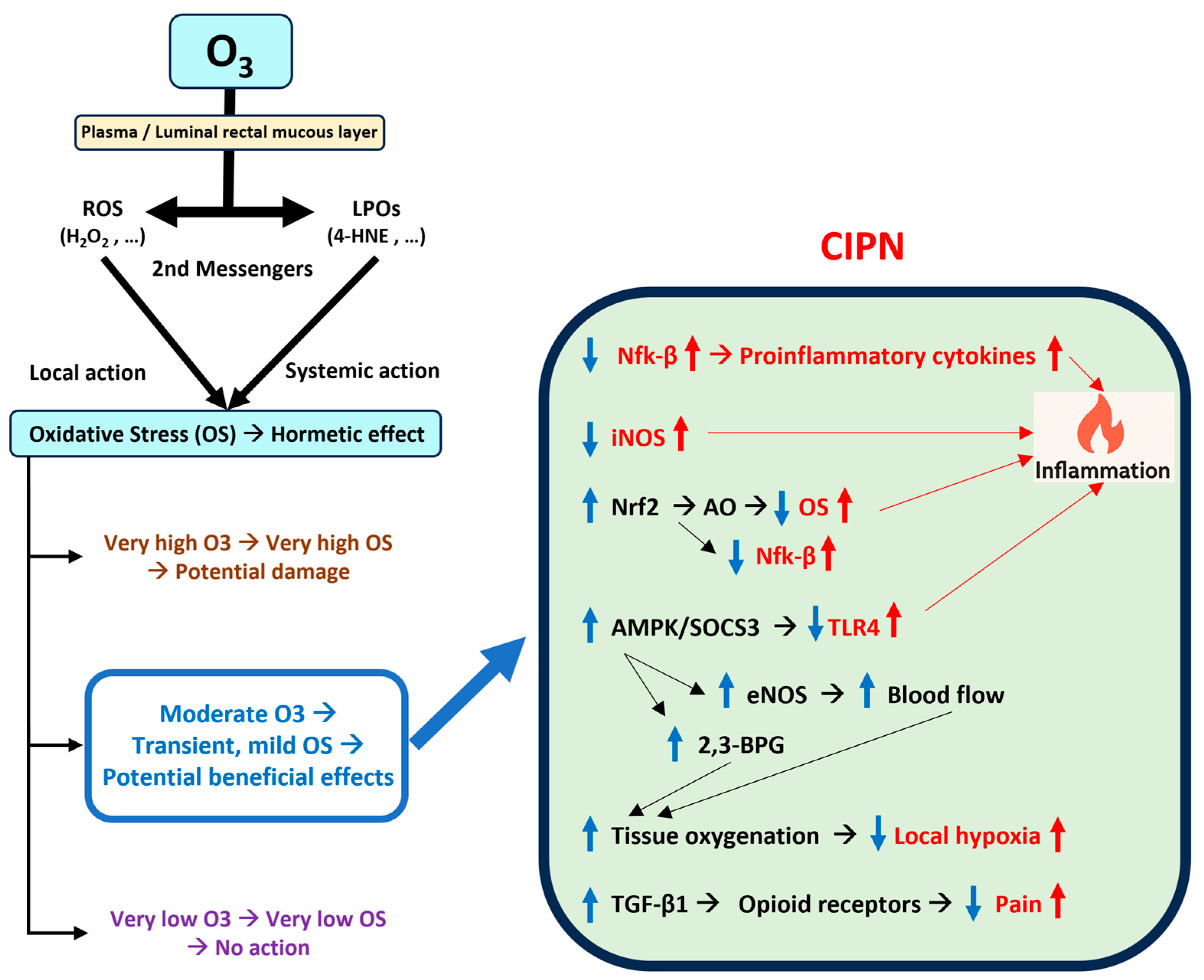 Cancers 17 02278 g001