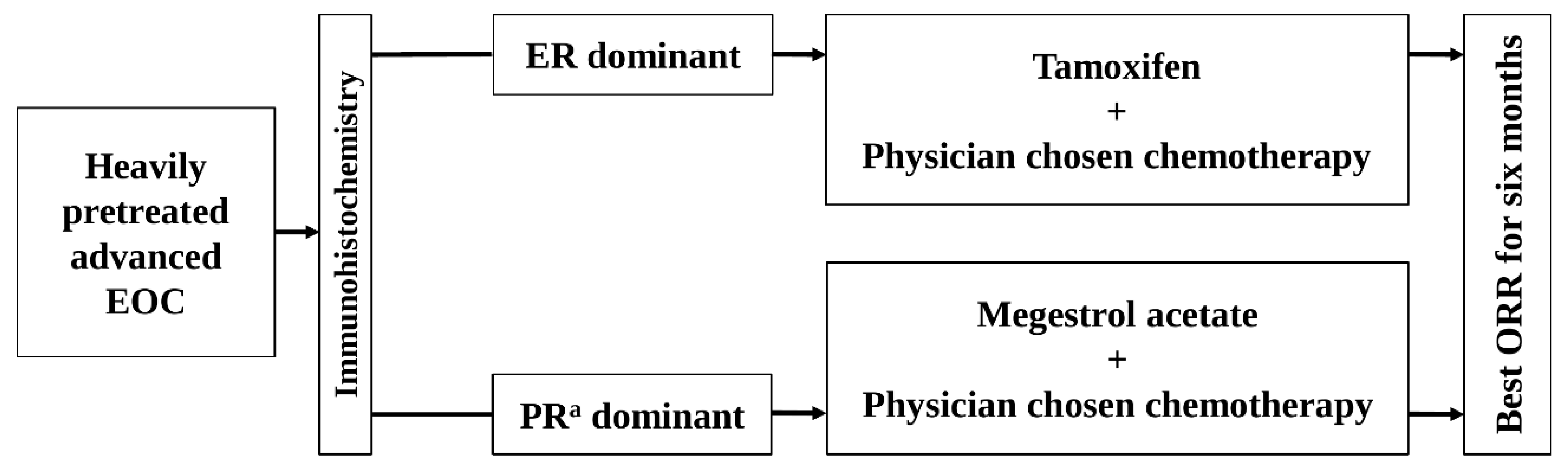Cancers 17 02320 g001