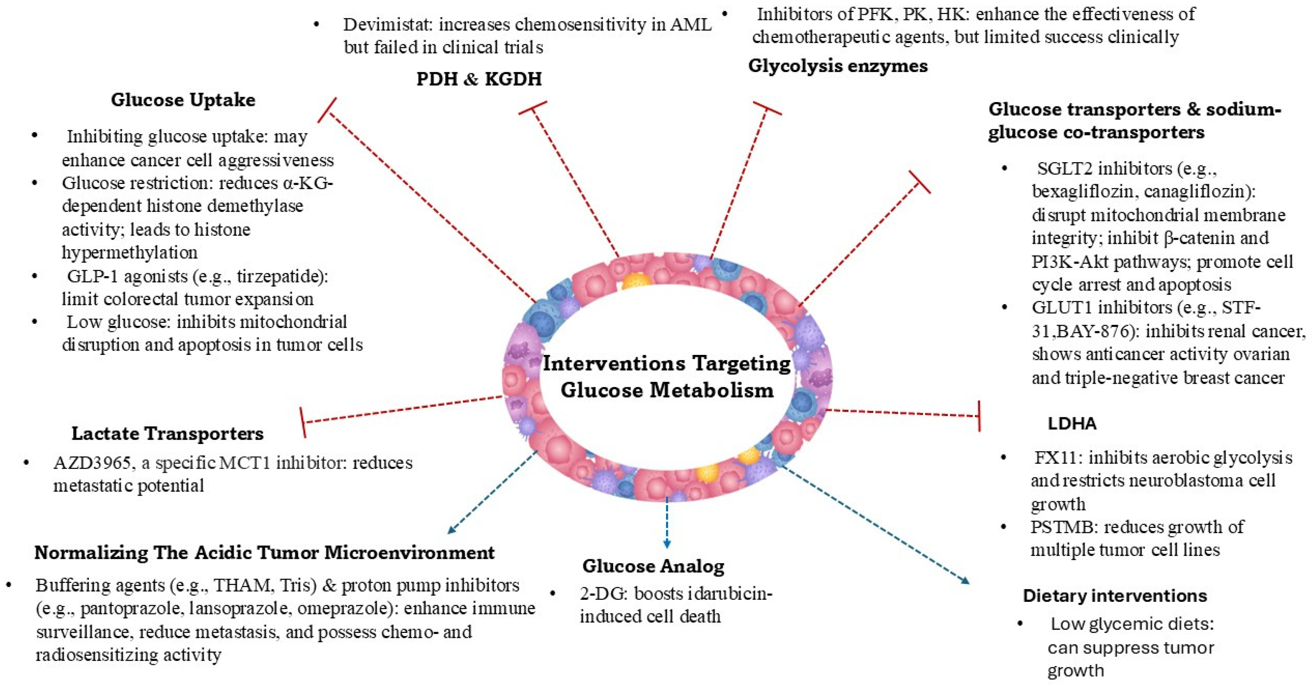 Cancers 17 02341 g001