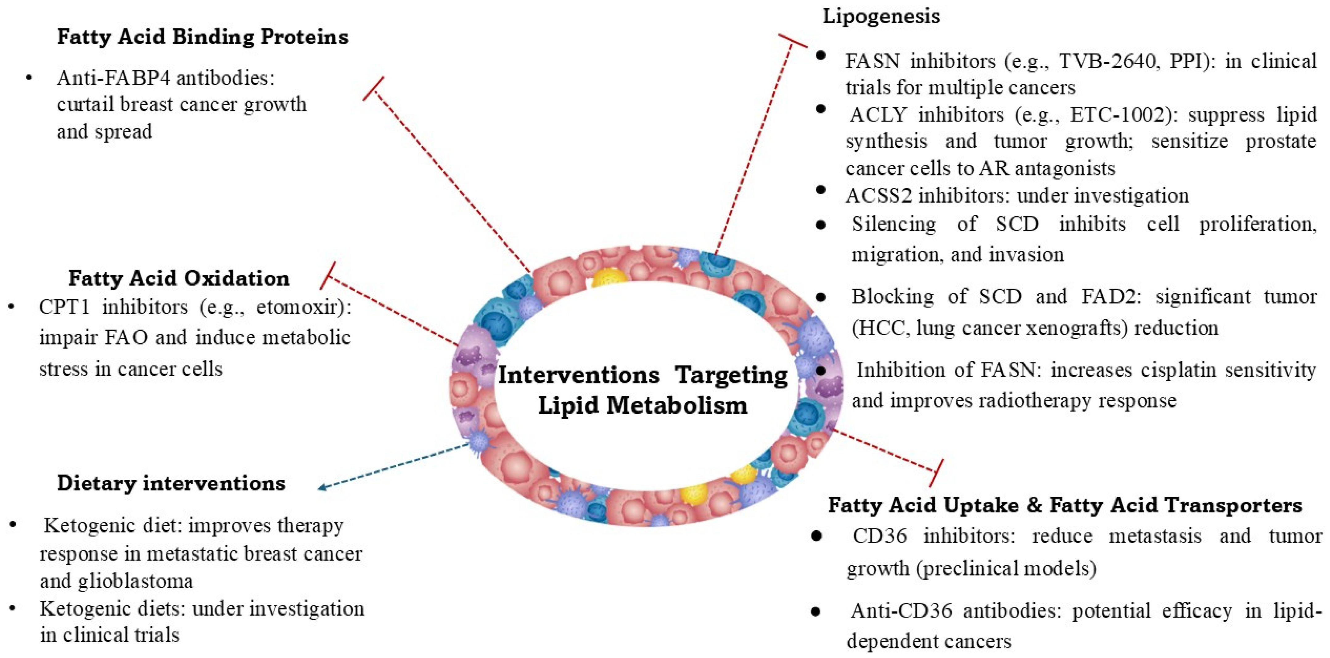 Cancers 17 02341 g002