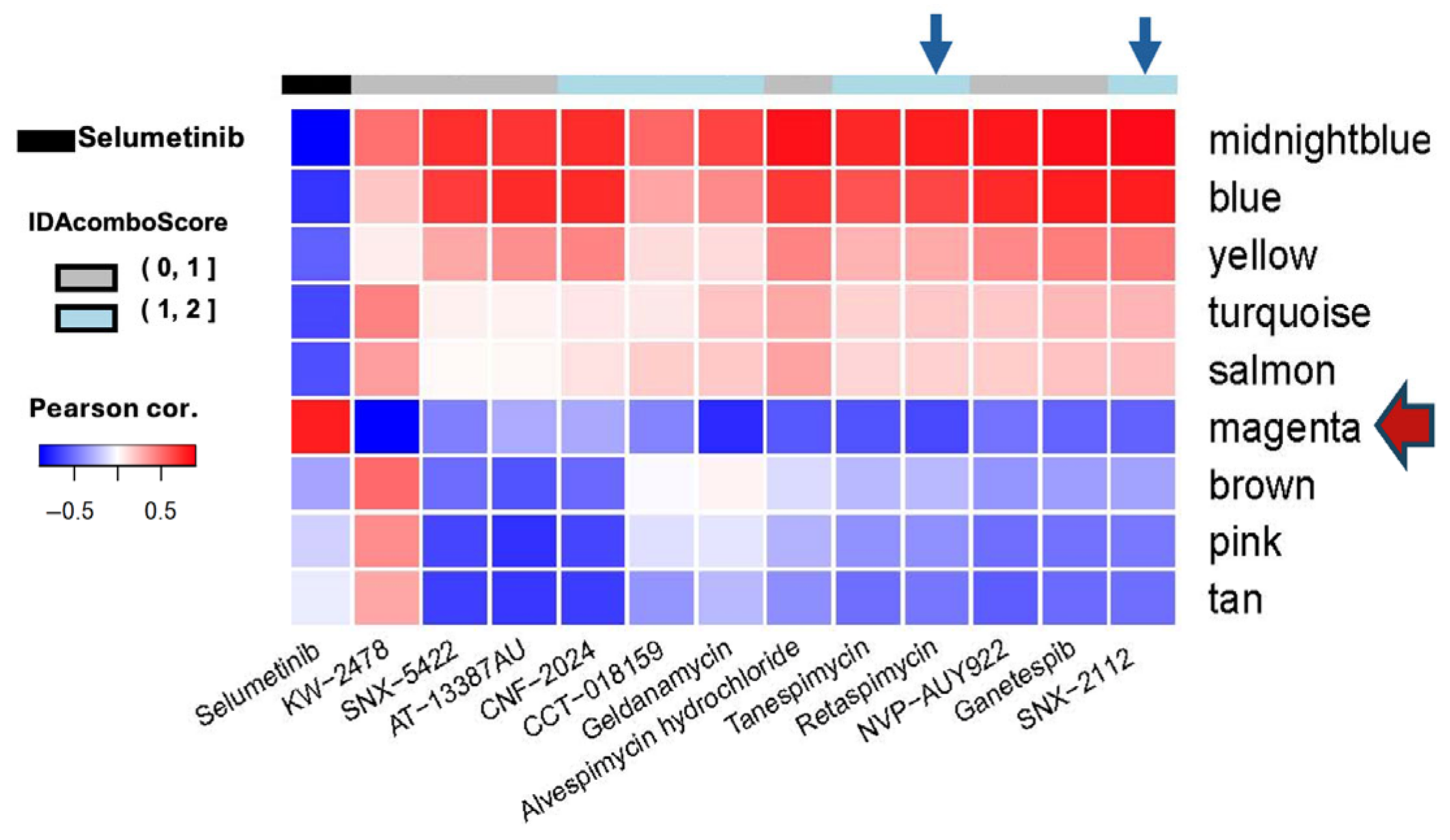 Cancers 17 02359 g001