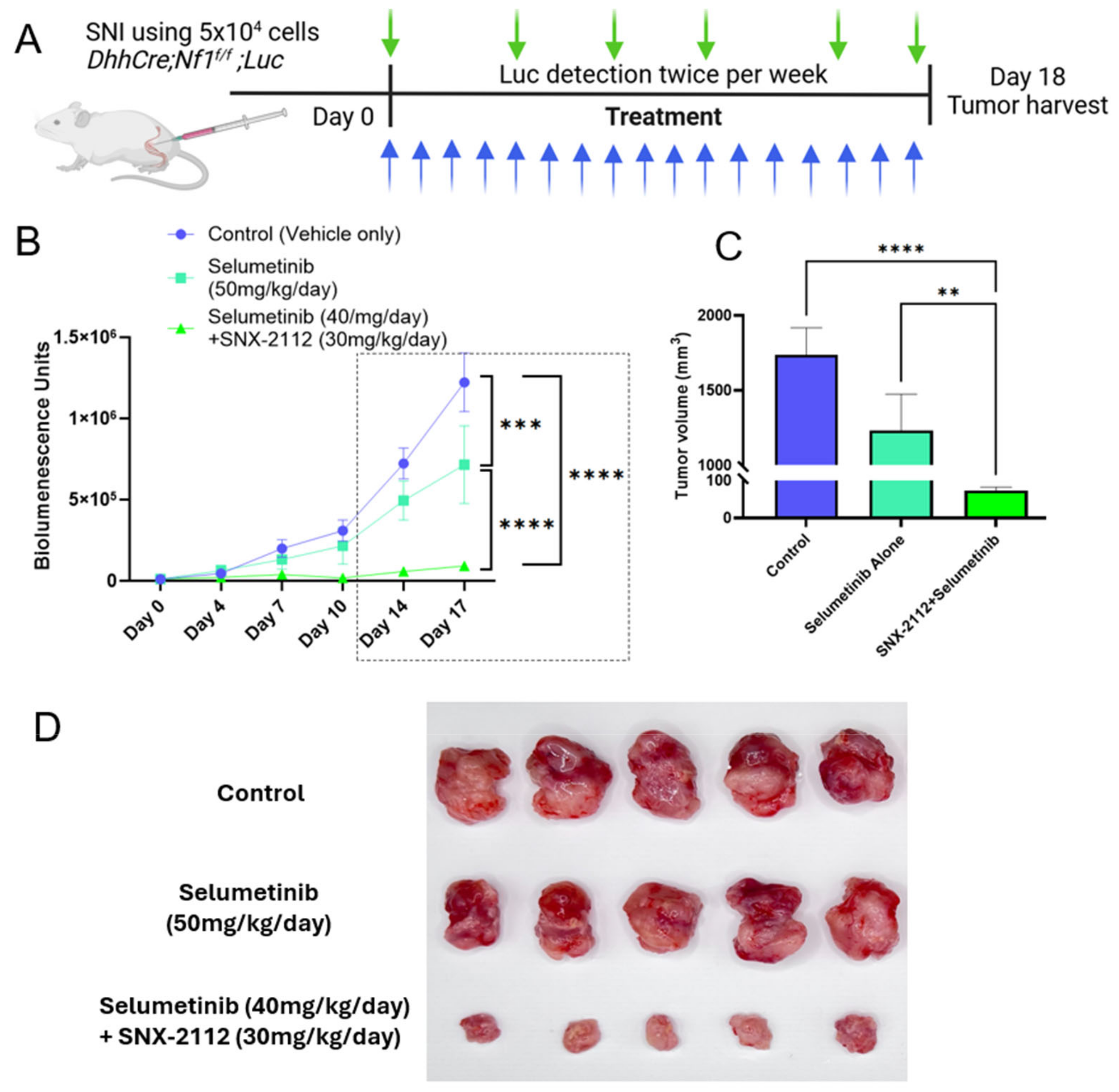 Cancers 17 02359 g004