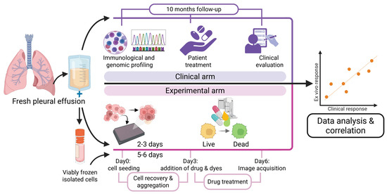Cancers 17 02363 g001