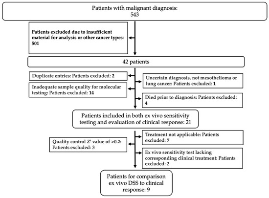 Cancers 17 02363 g002