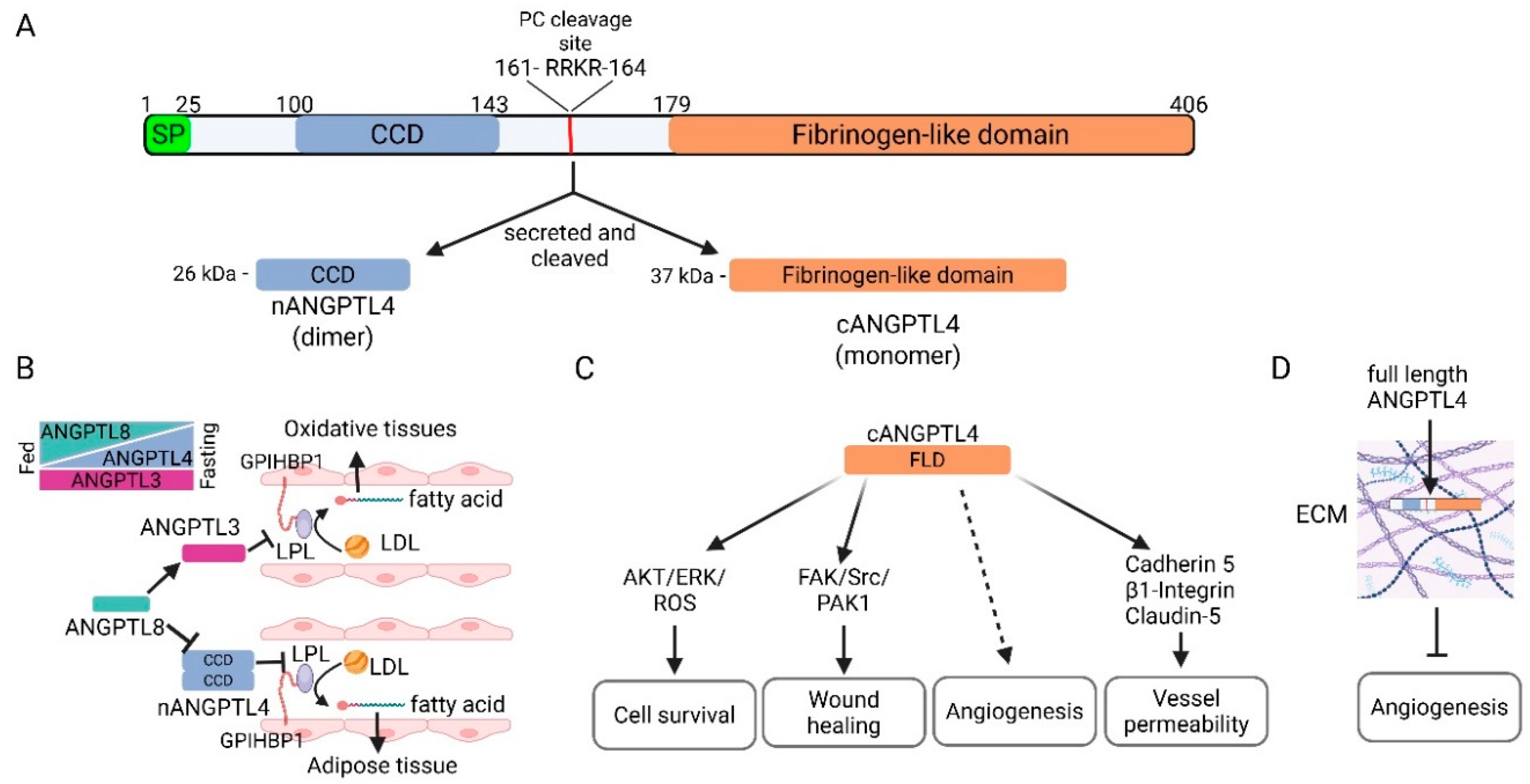 Cancers 17 02364 g001