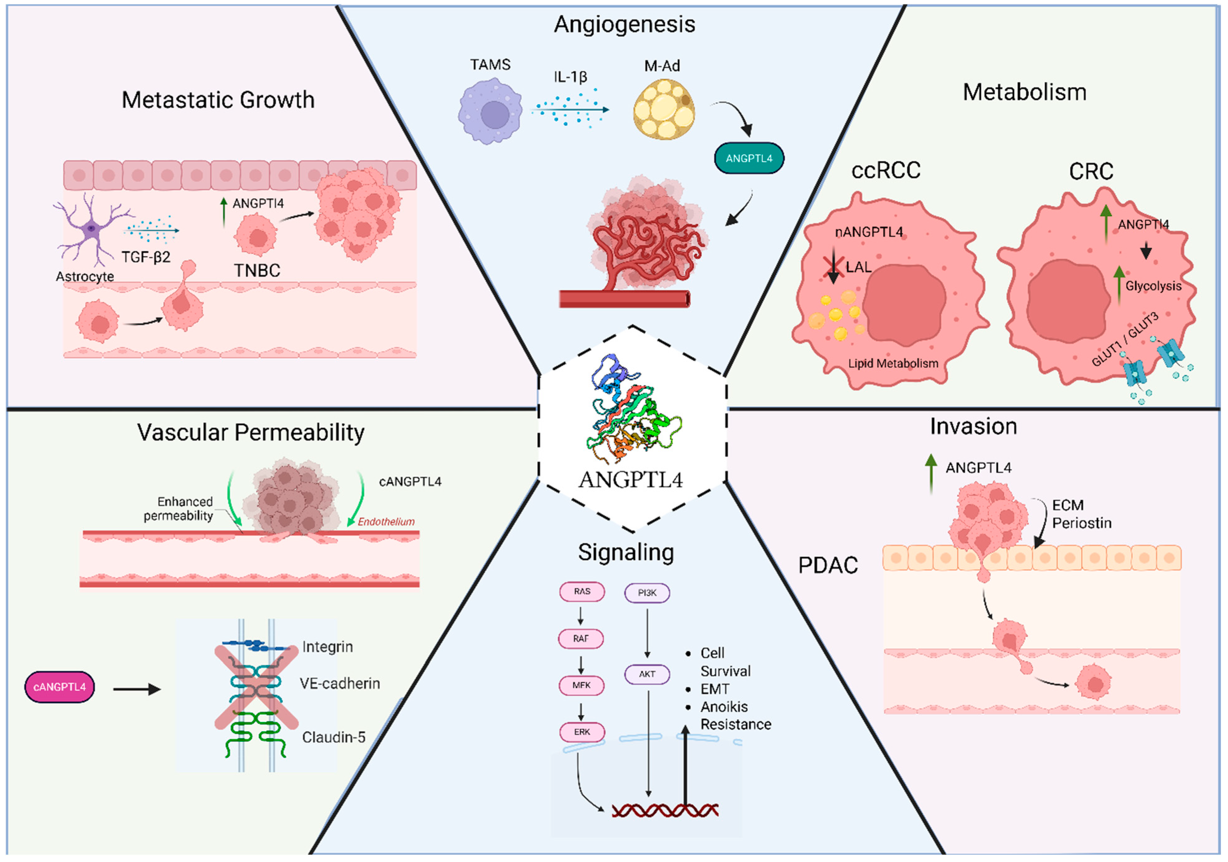 Cancers 17 02364 g002