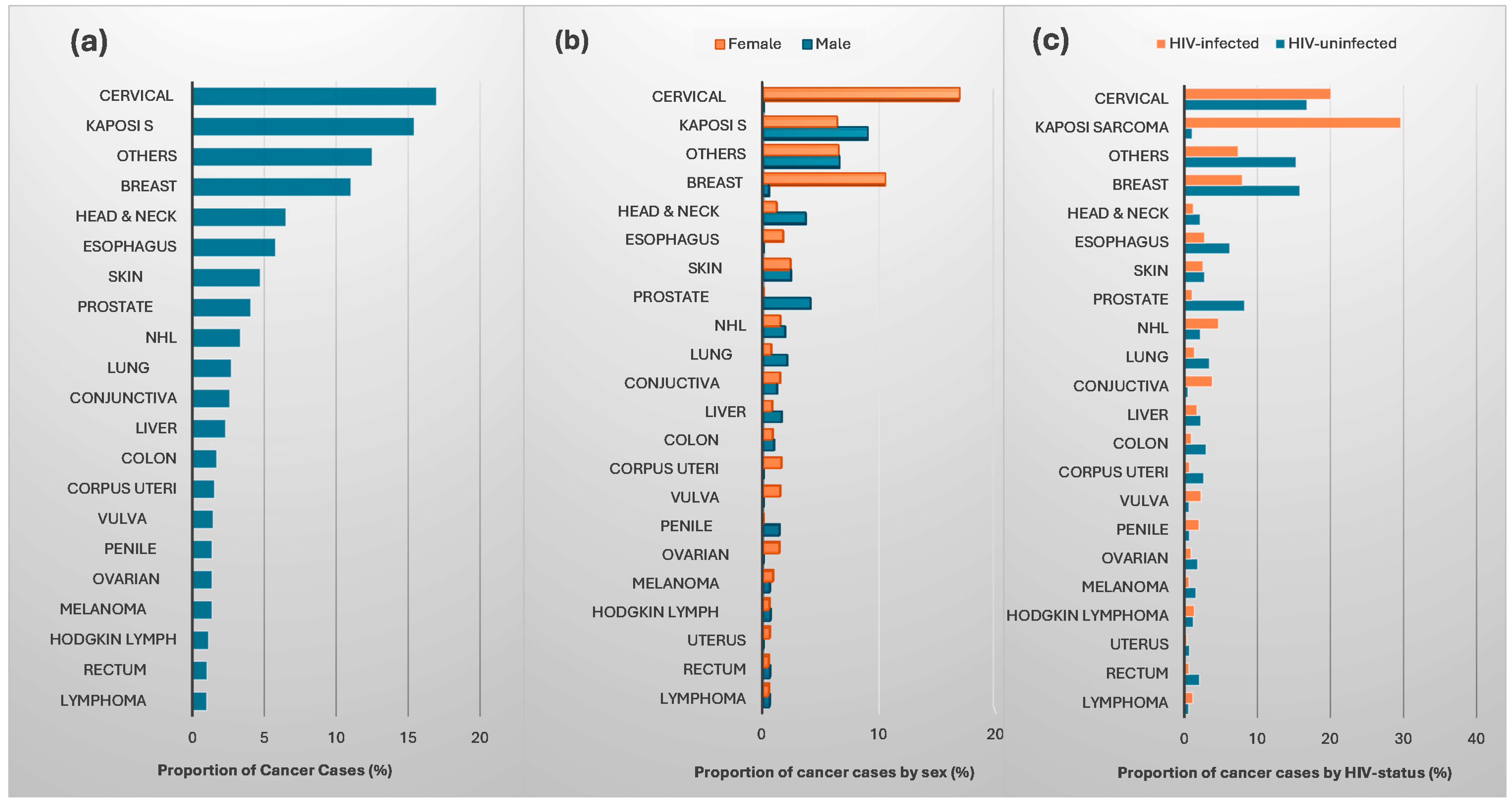 Cancers 17 02374 g001