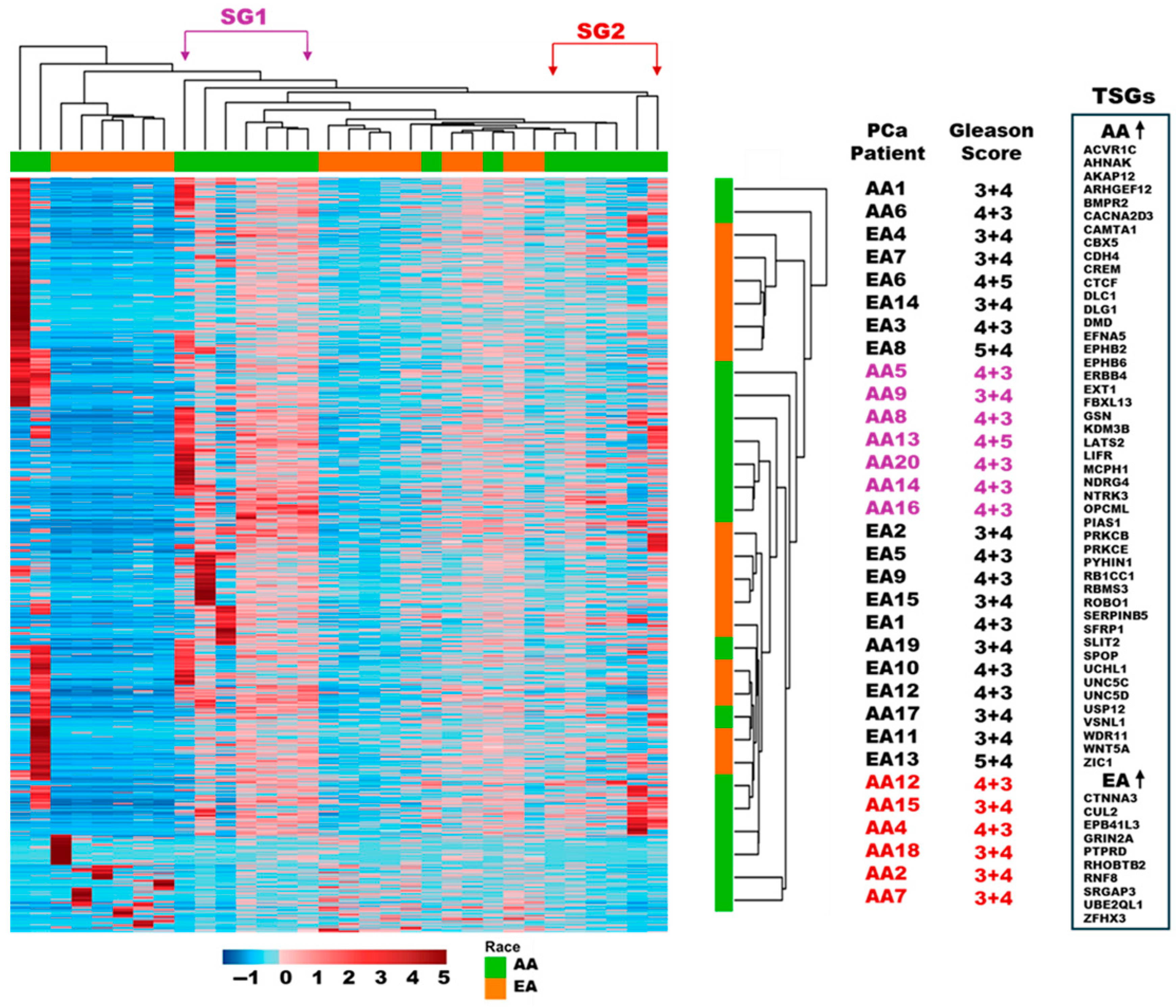 Cancers 17 02399 g002
