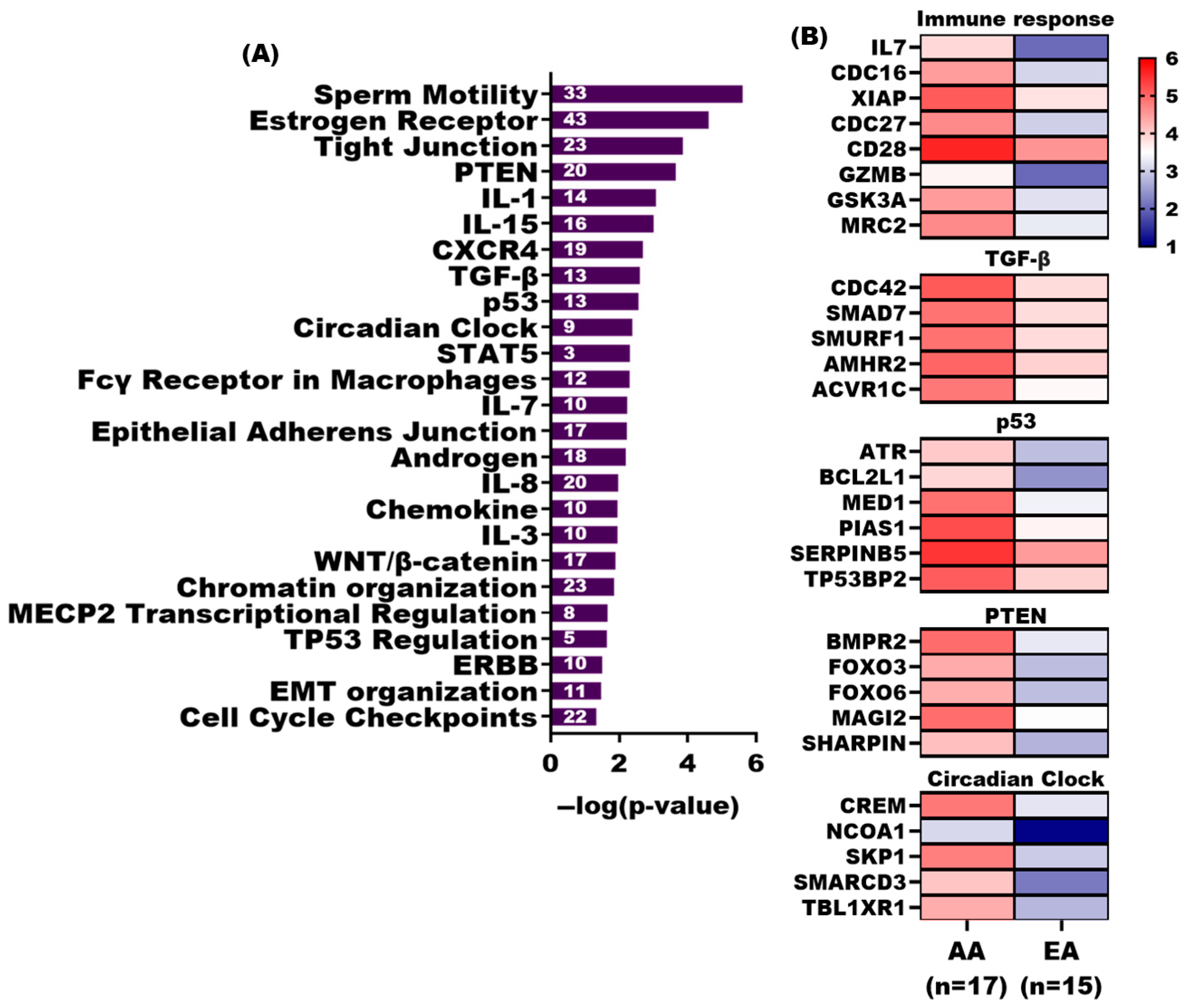 Cancers 17 02399 g004