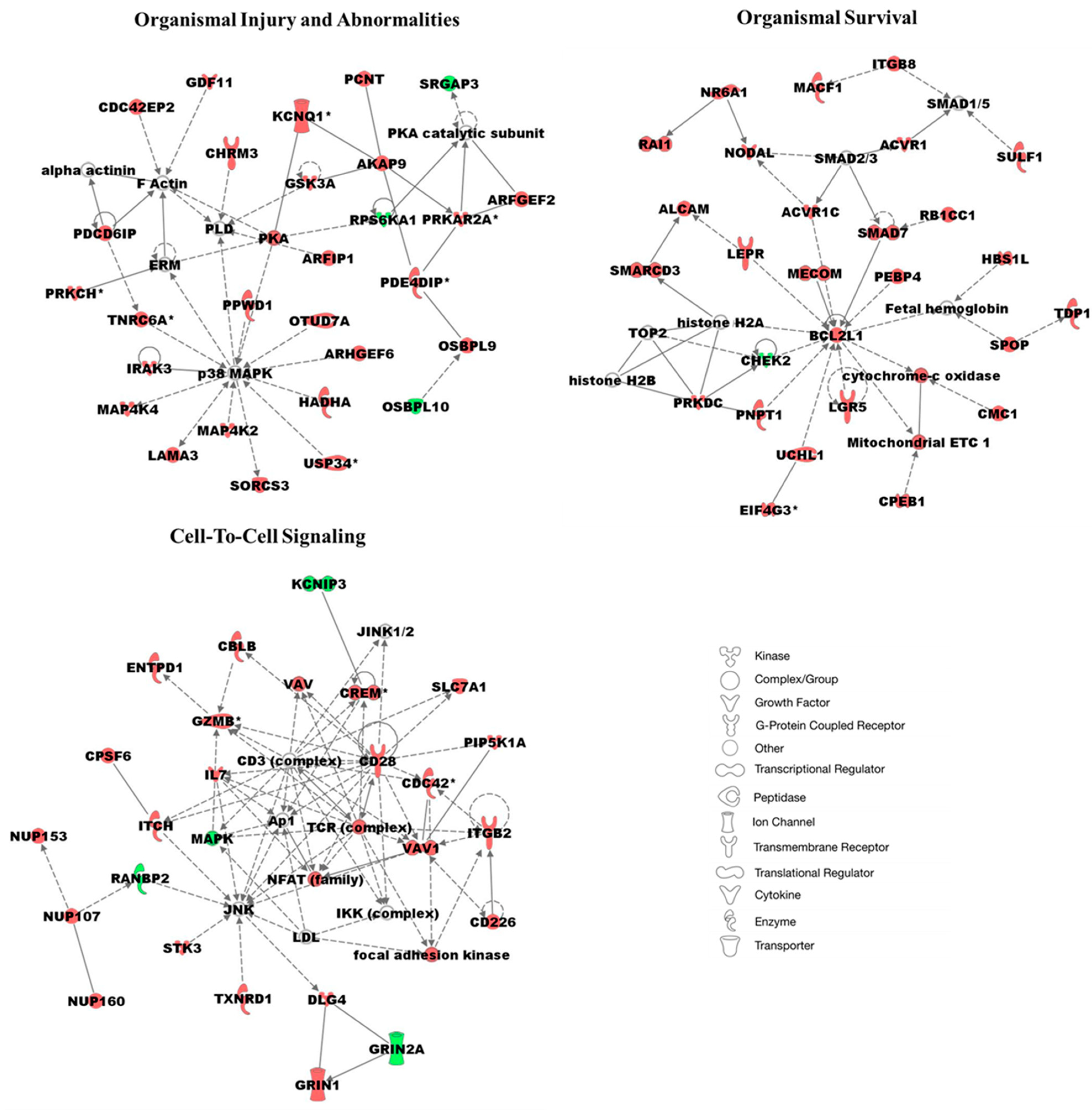 Cancers 17 02399 g005