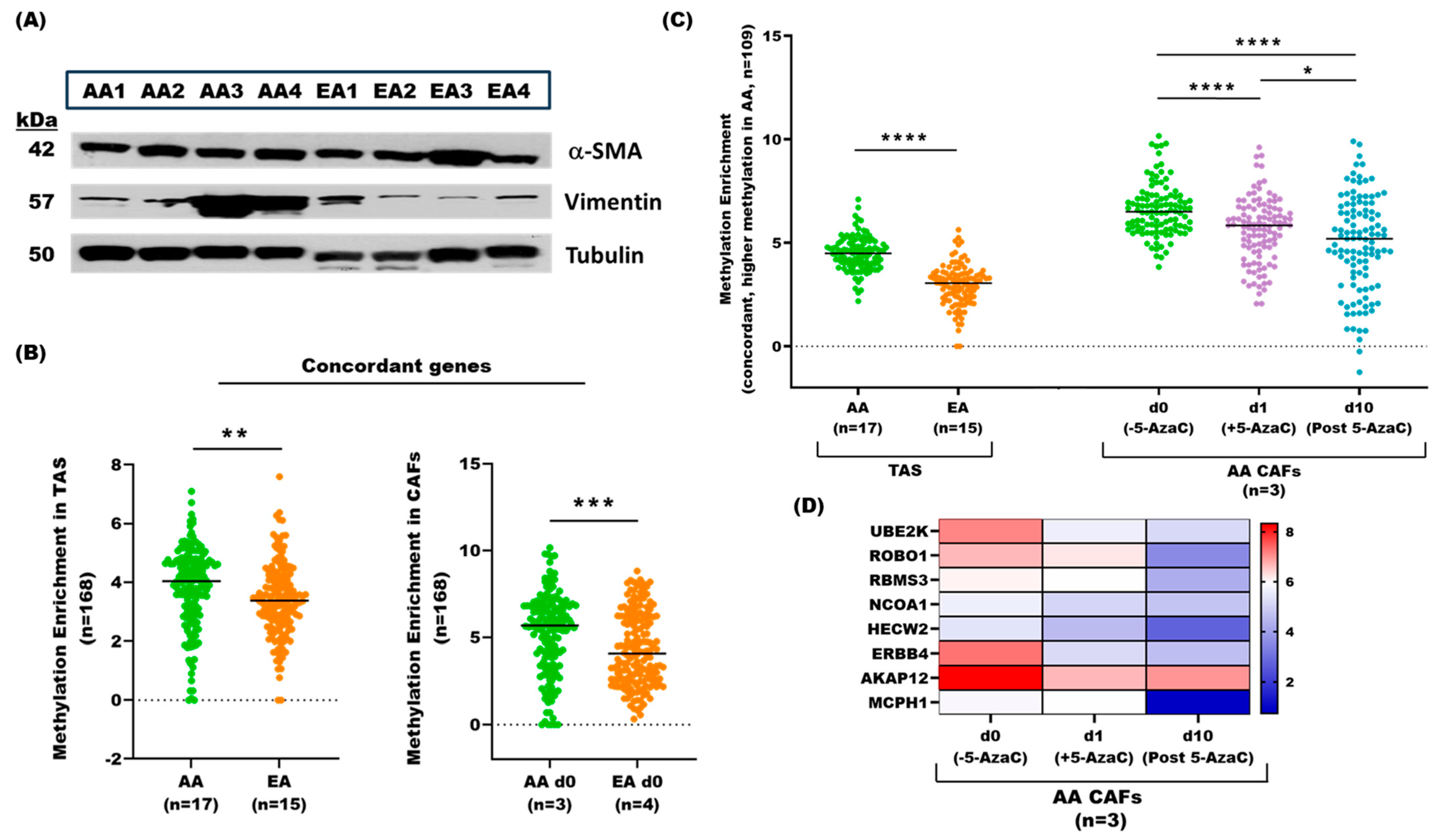 Cancers 17 02399 g006