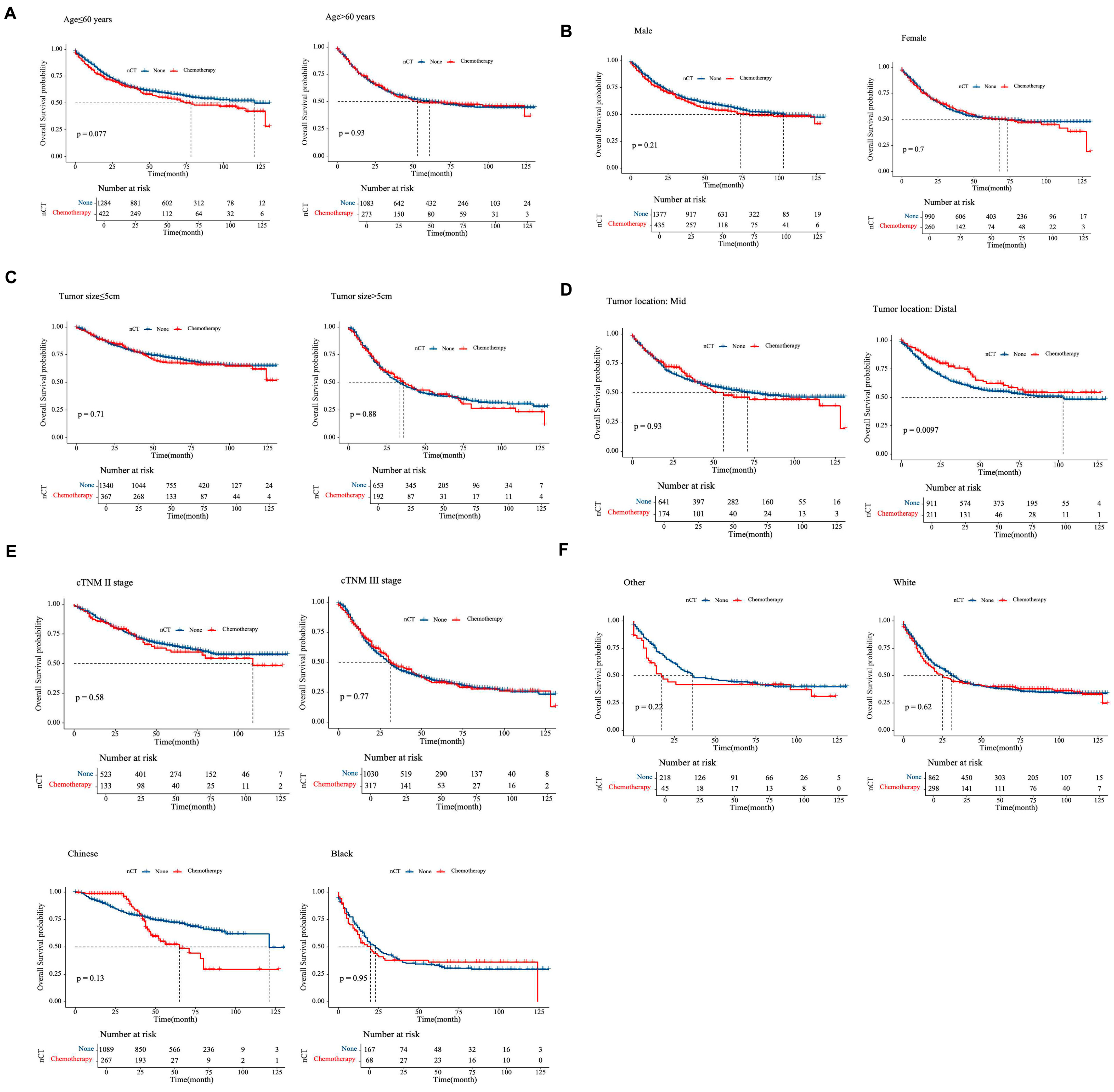 Cancers 17 02419 g006