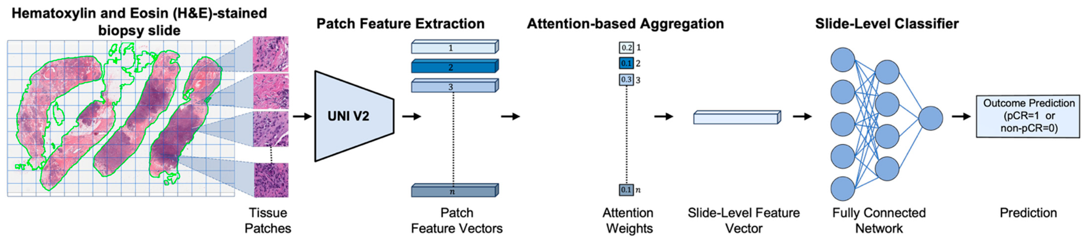 Cancers 17 02423 g001