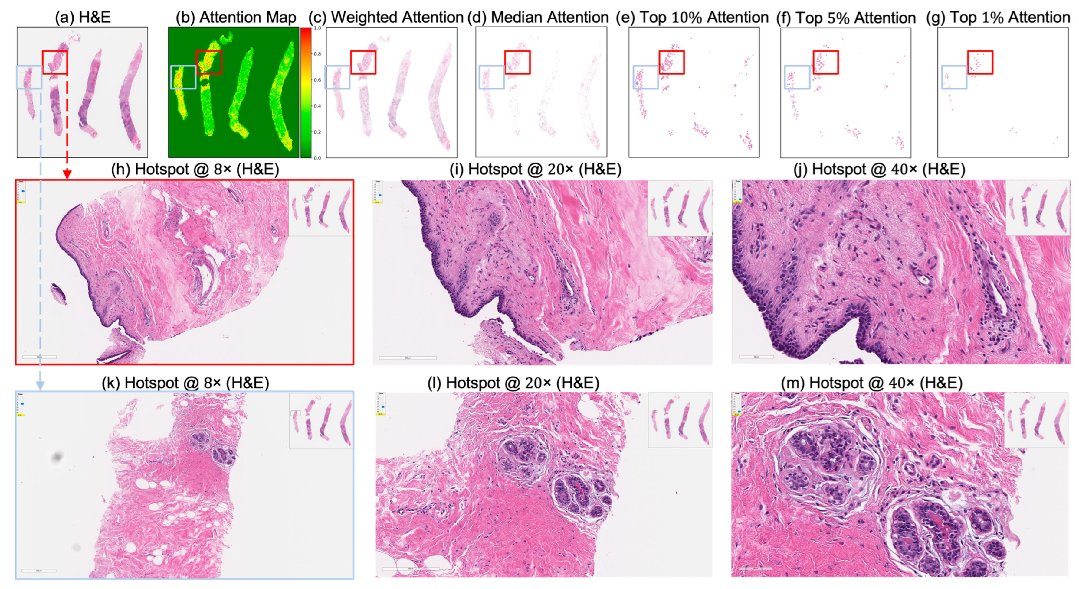 Cancers 17 02423 g008