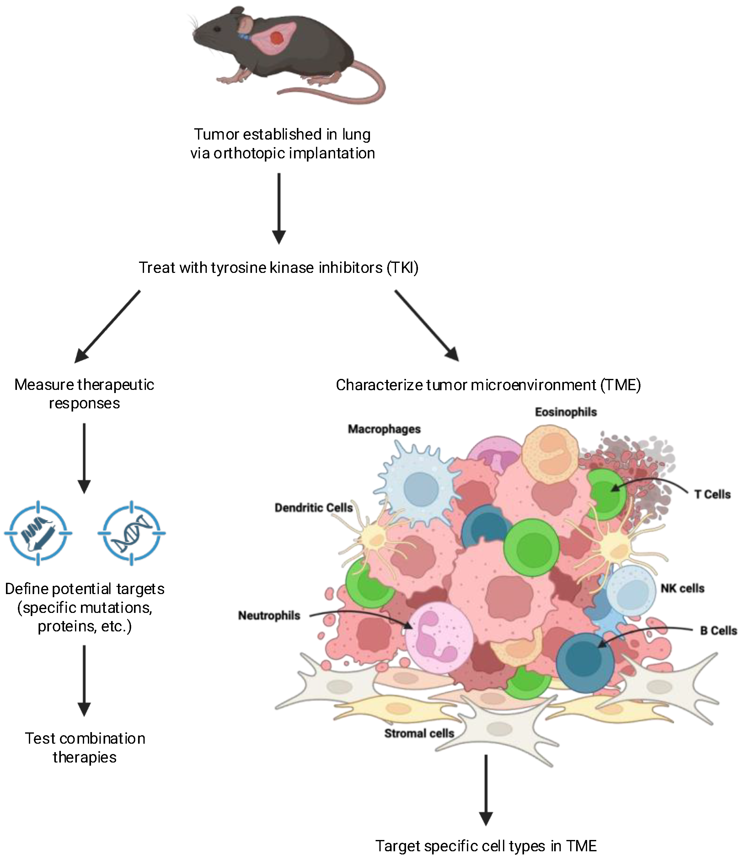 Cancers 17 02424 g002