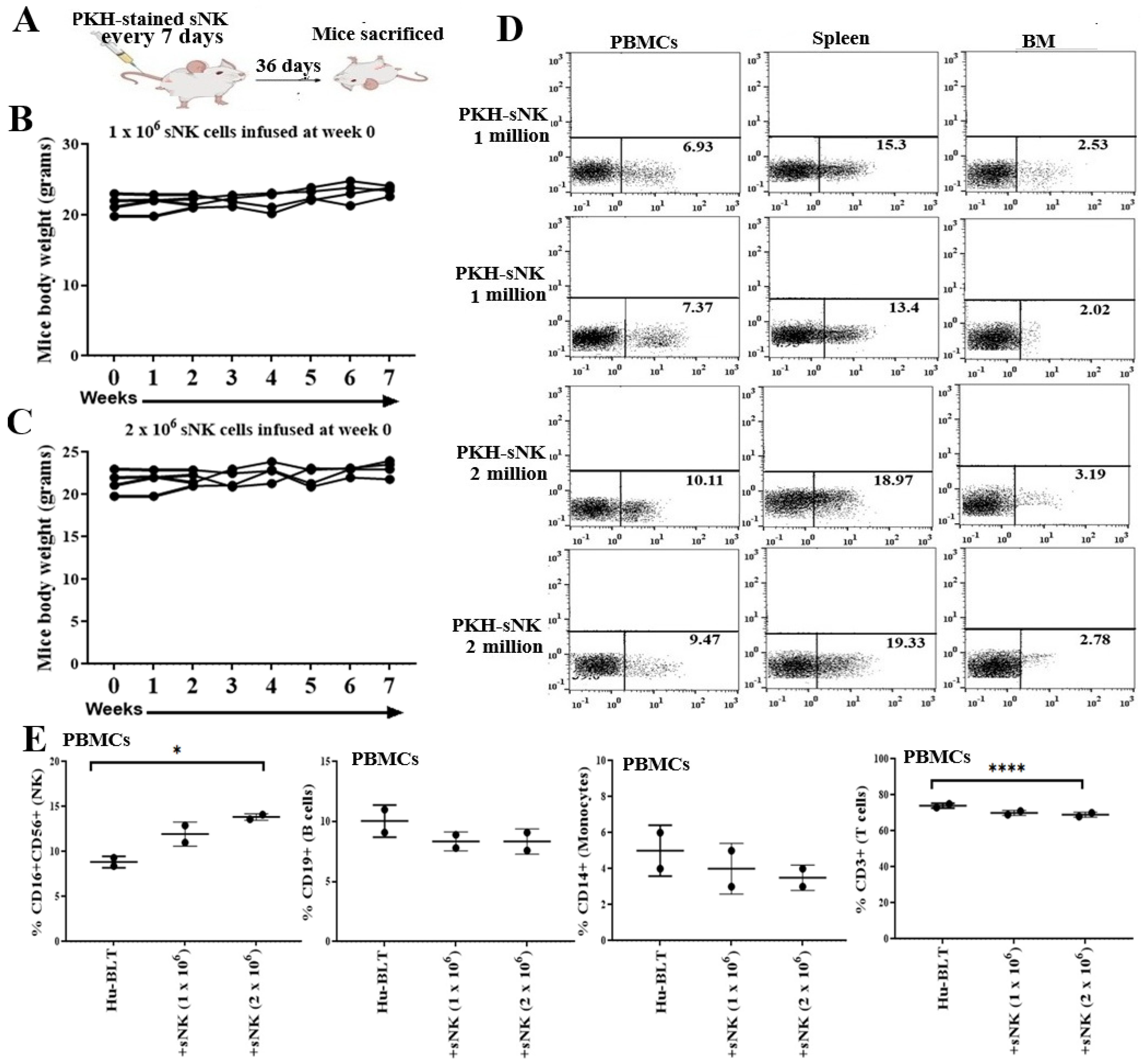 Cancers 17 02430 g001