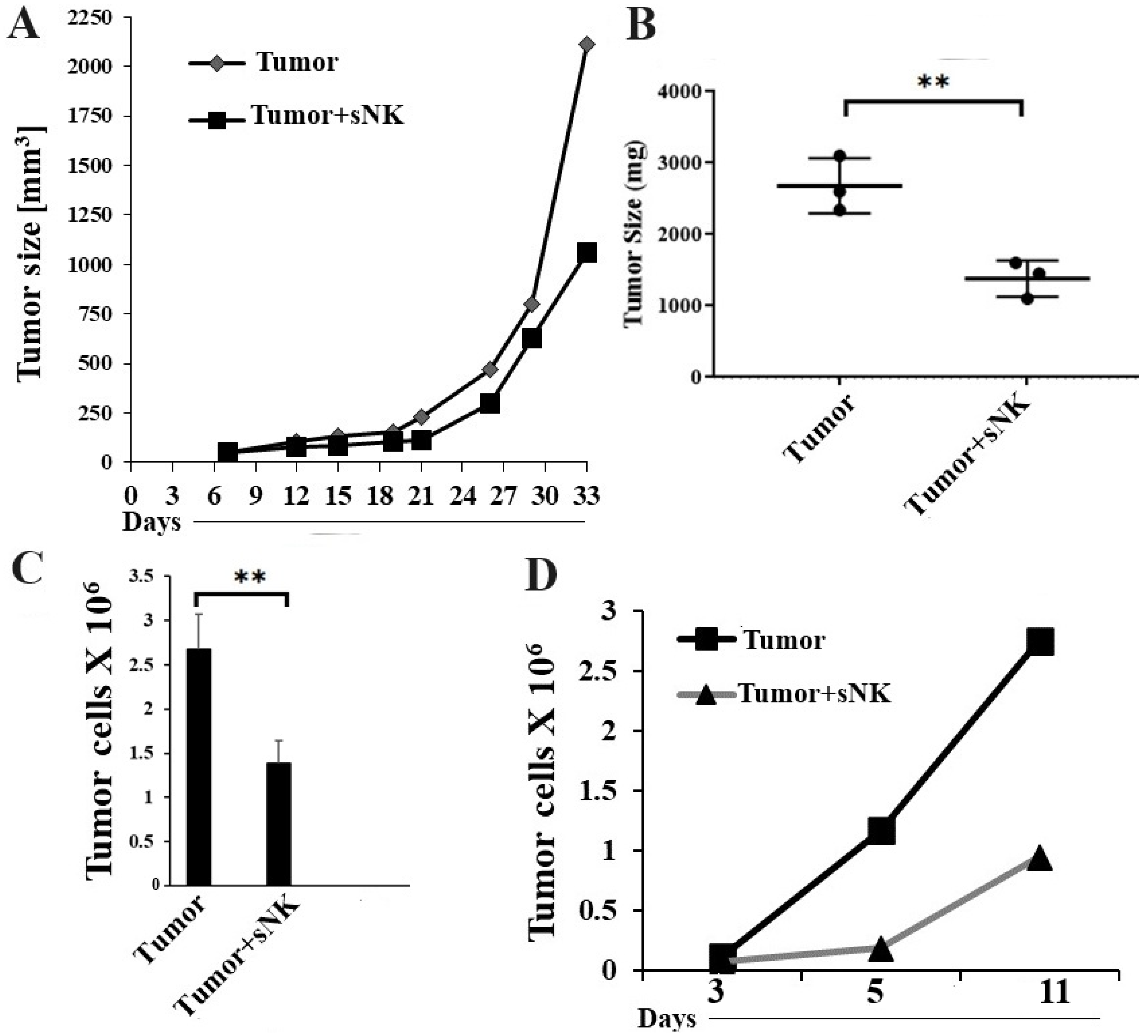 Cancers 17 02430 g003