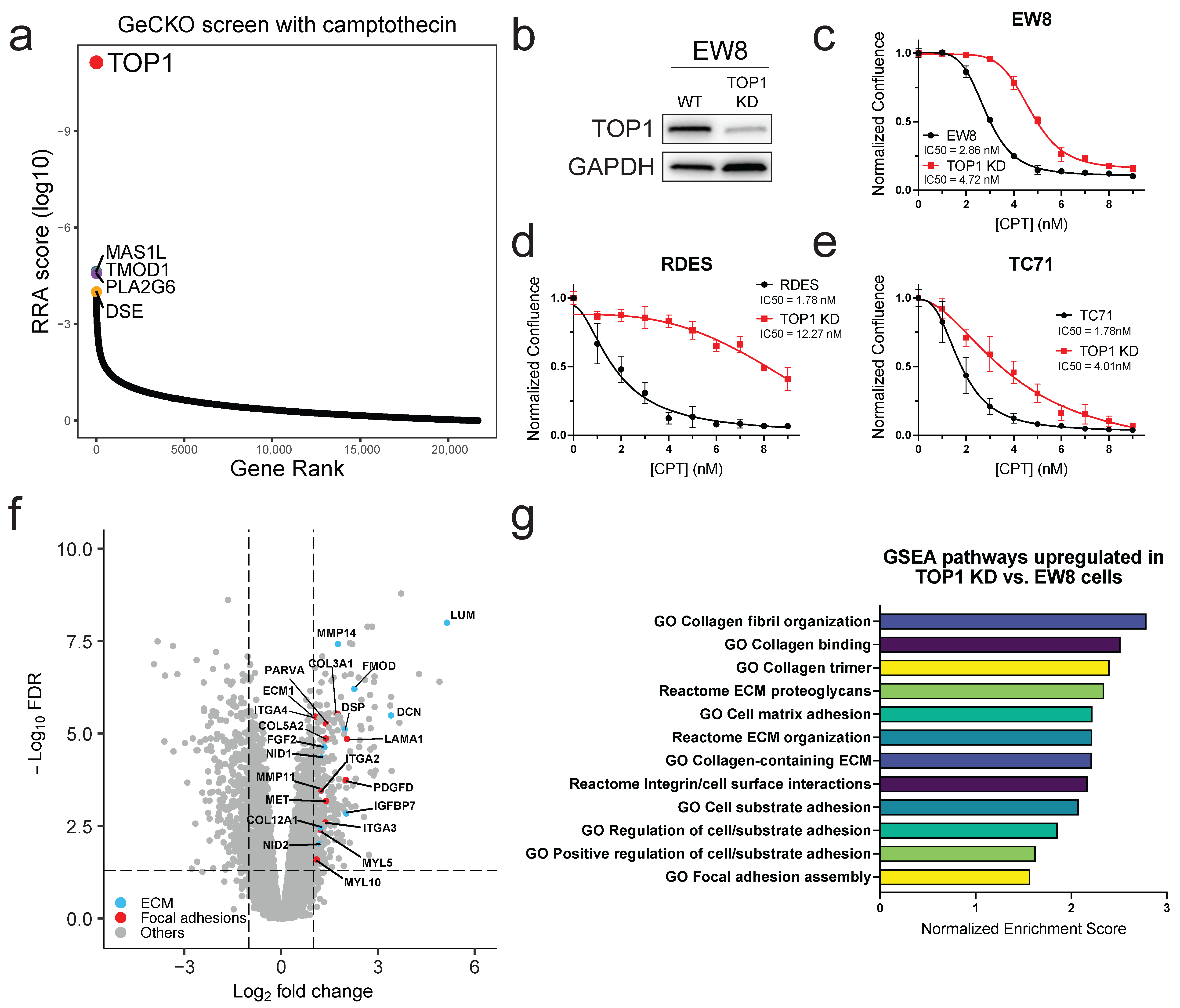 Cancers 17 02475 g001