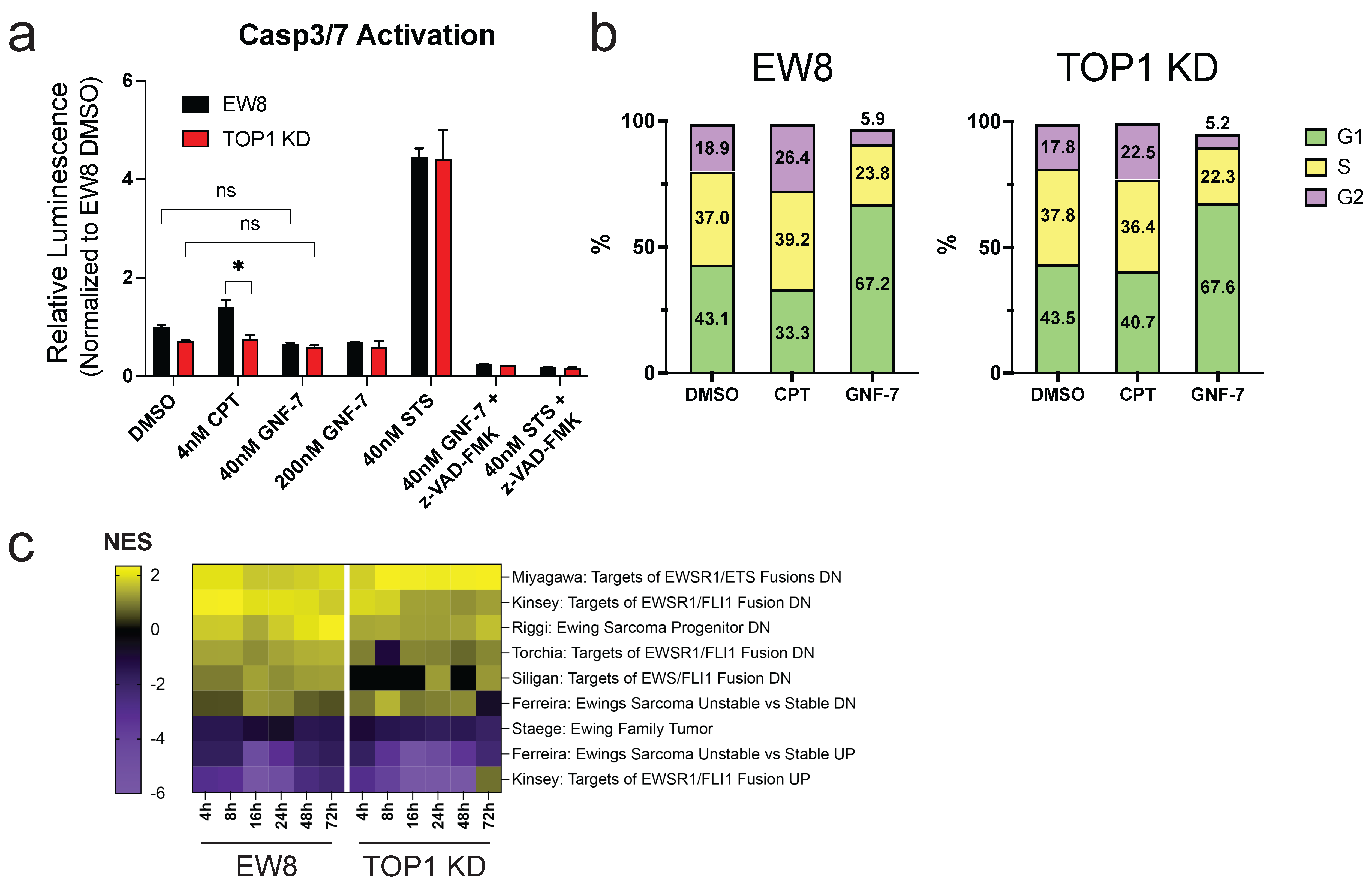 Cancers 17 02475 g003