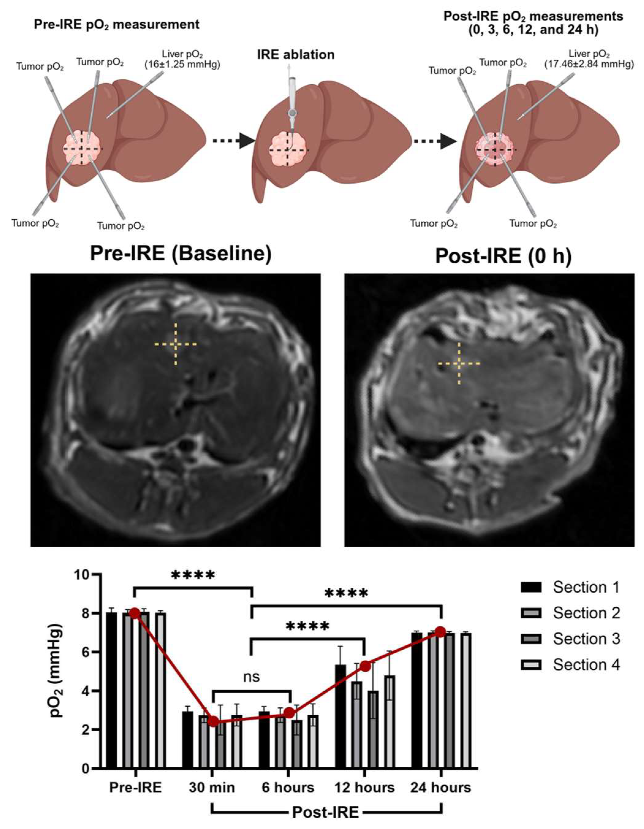 Cancers 17 02477 g001