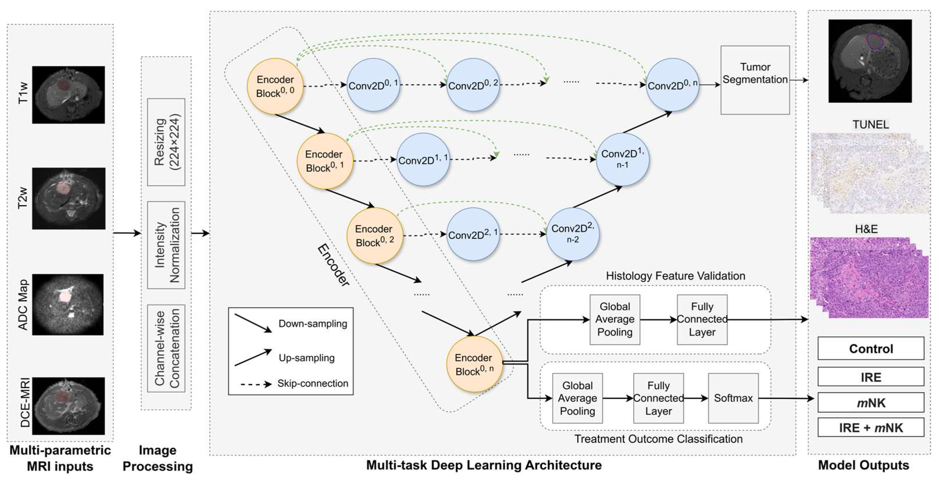 Cancers 17 02477 g002