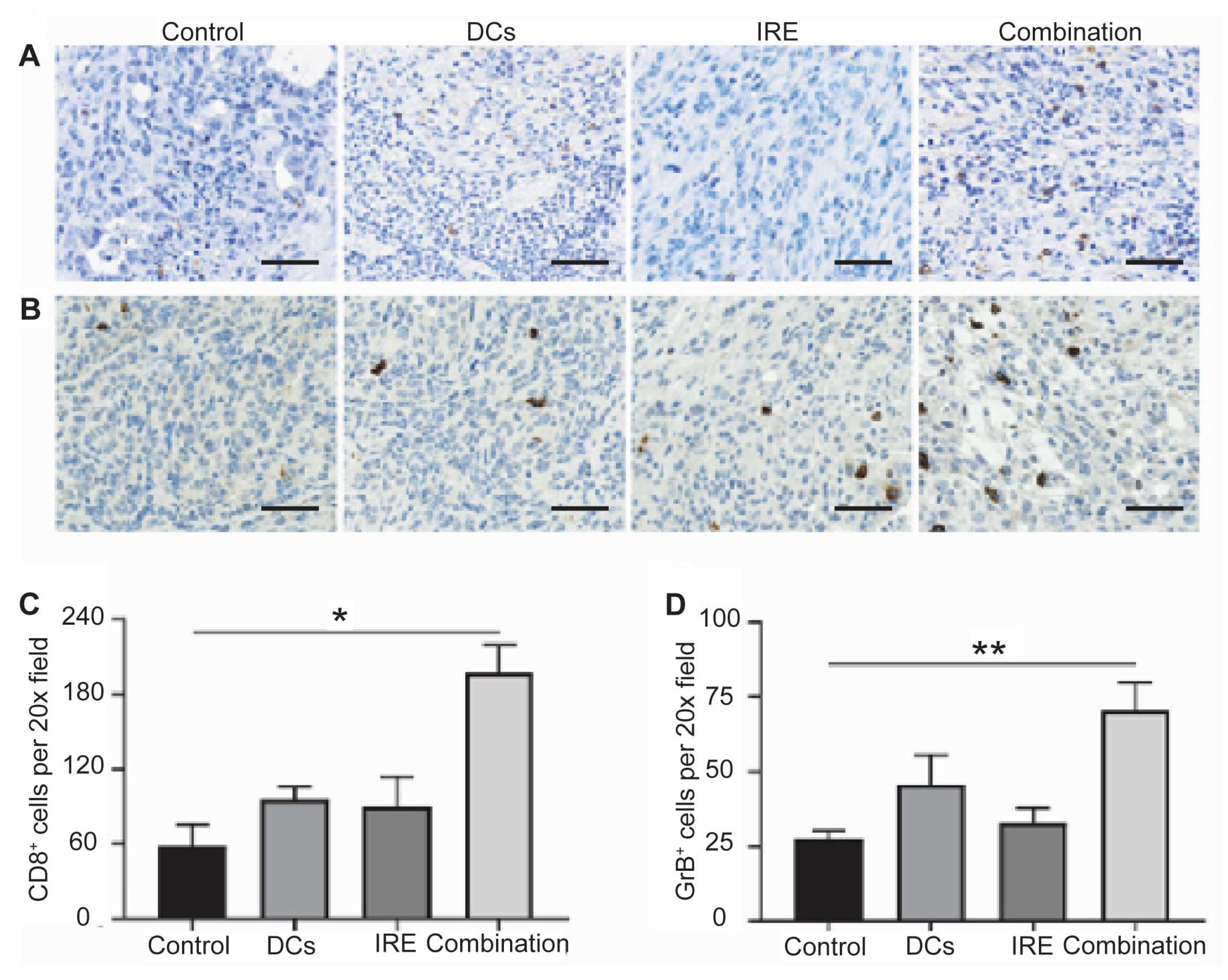 Cancers 17 02477 g003