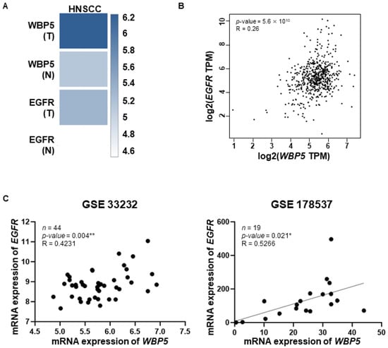 Cancers 17 02493 g006