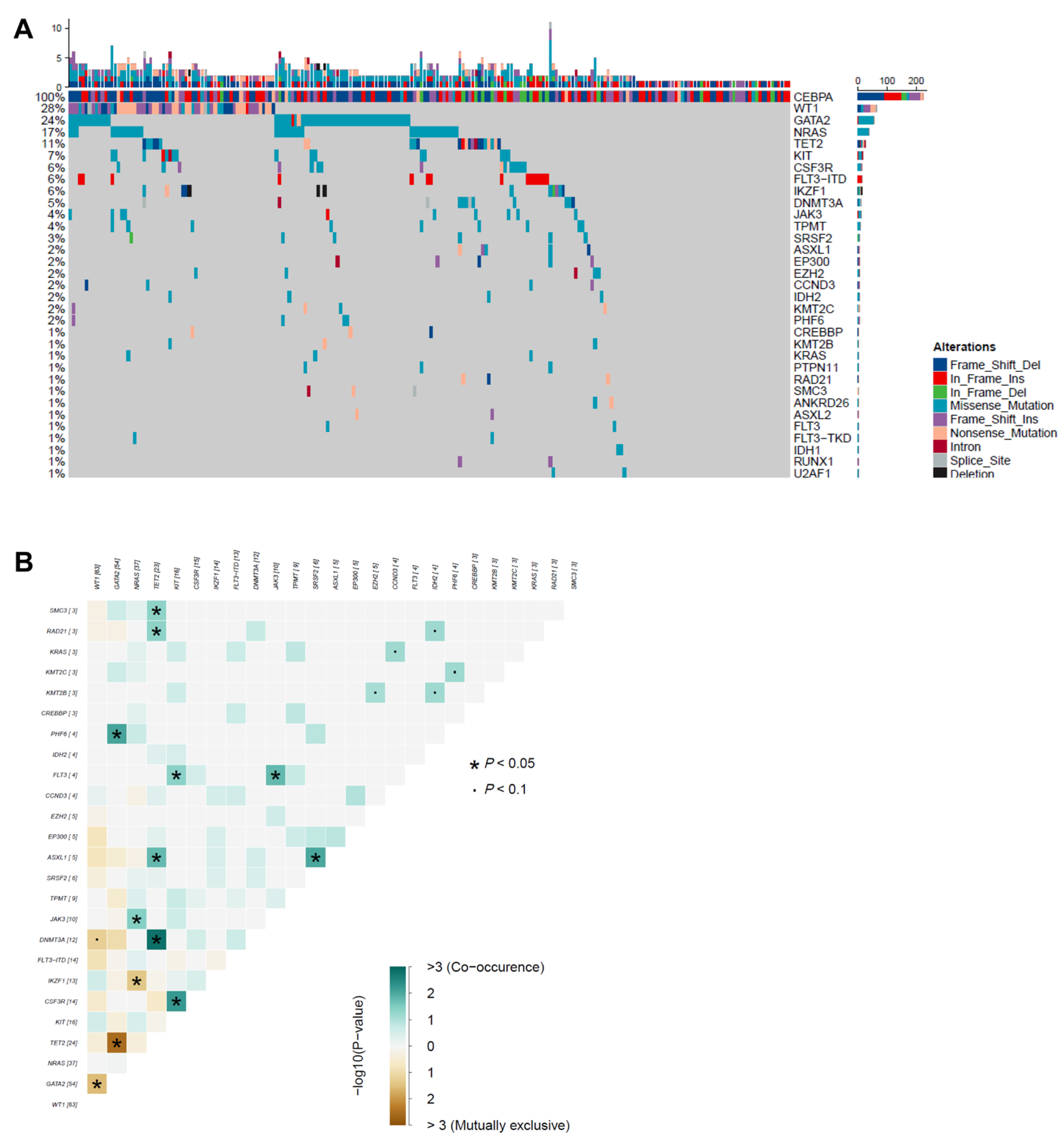 Cancers 17 02494 g001