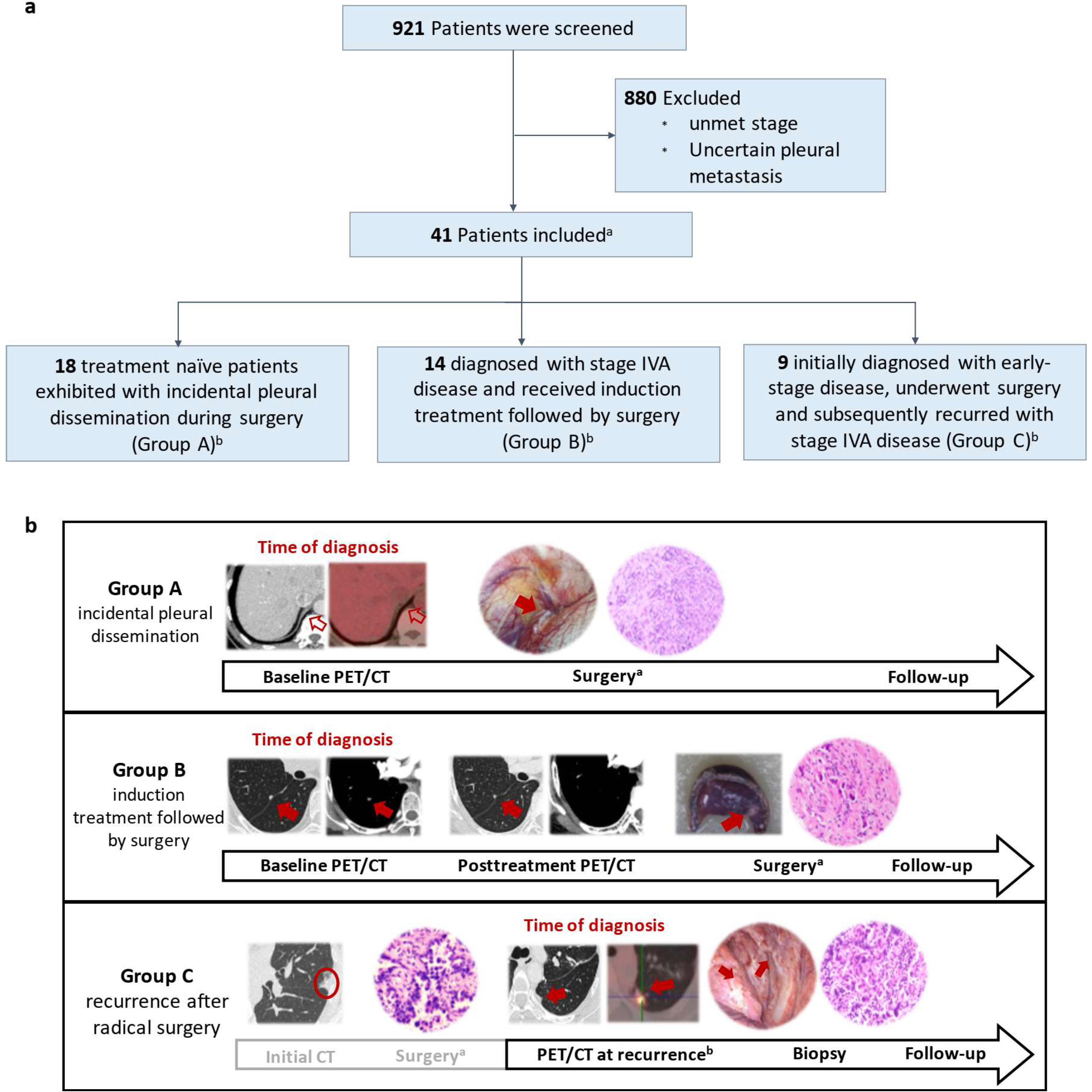 Lung Cancer with Isolated Pleural Dissemination as a Potential ctDNA ...
