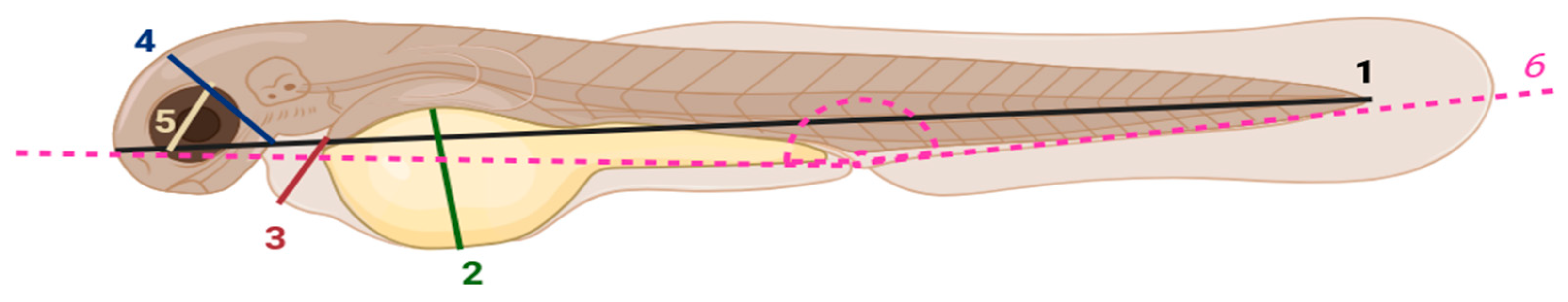 Cancers 17 02564 g001