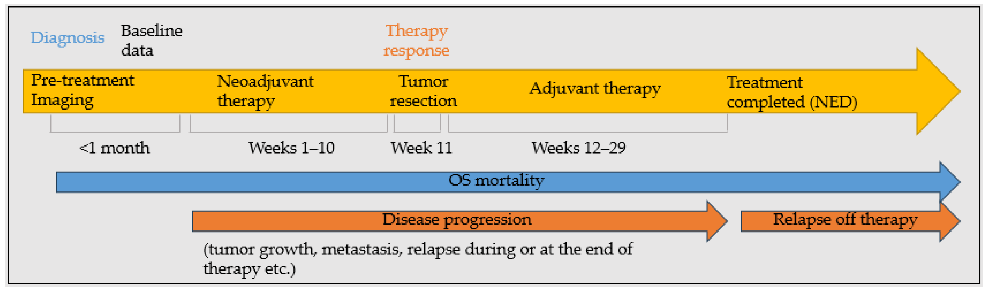 Cancers 17 02586 g002