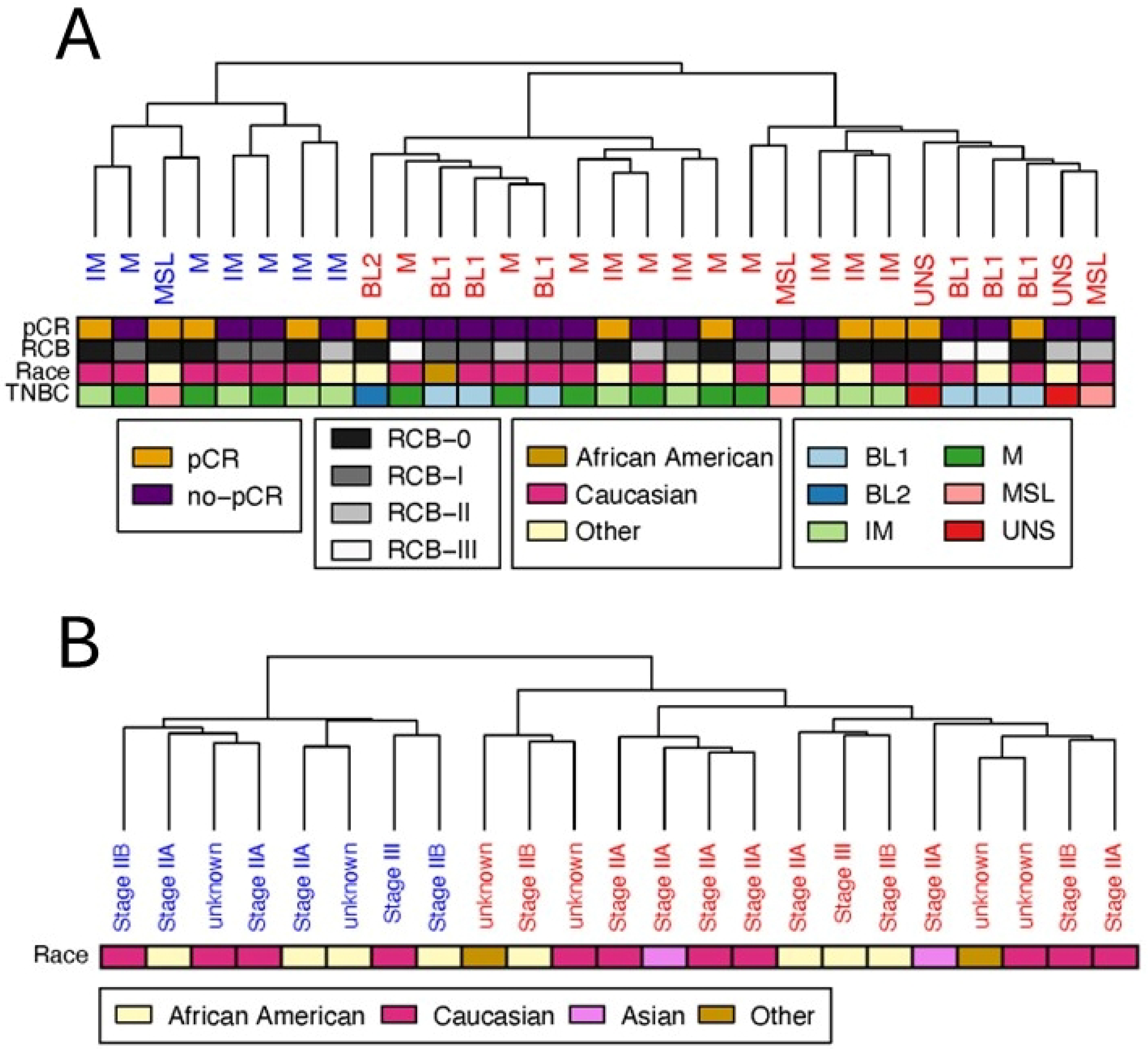 Cancers 17 02601 g002