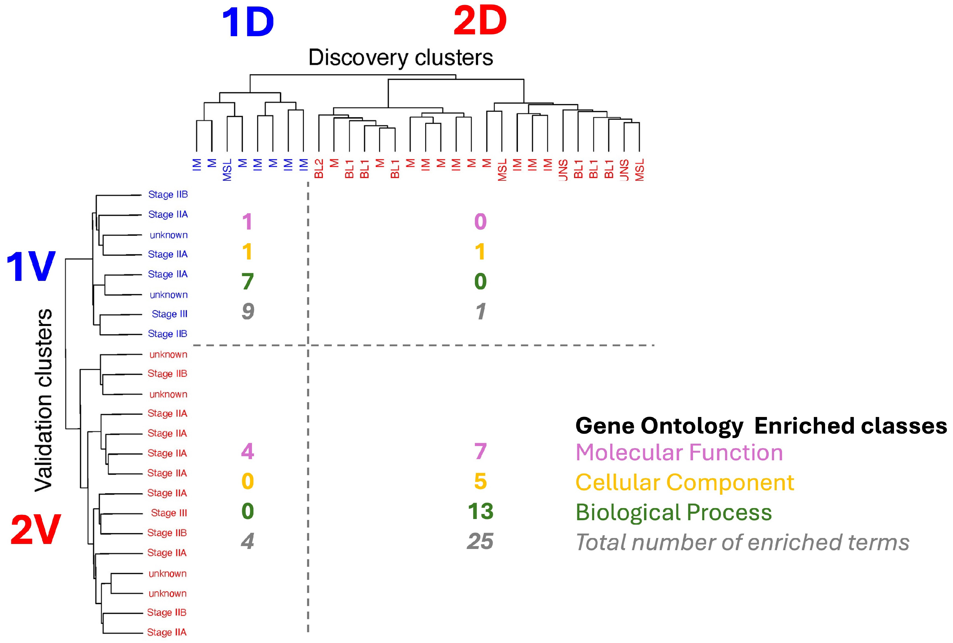 Cancers 17 02601 g004