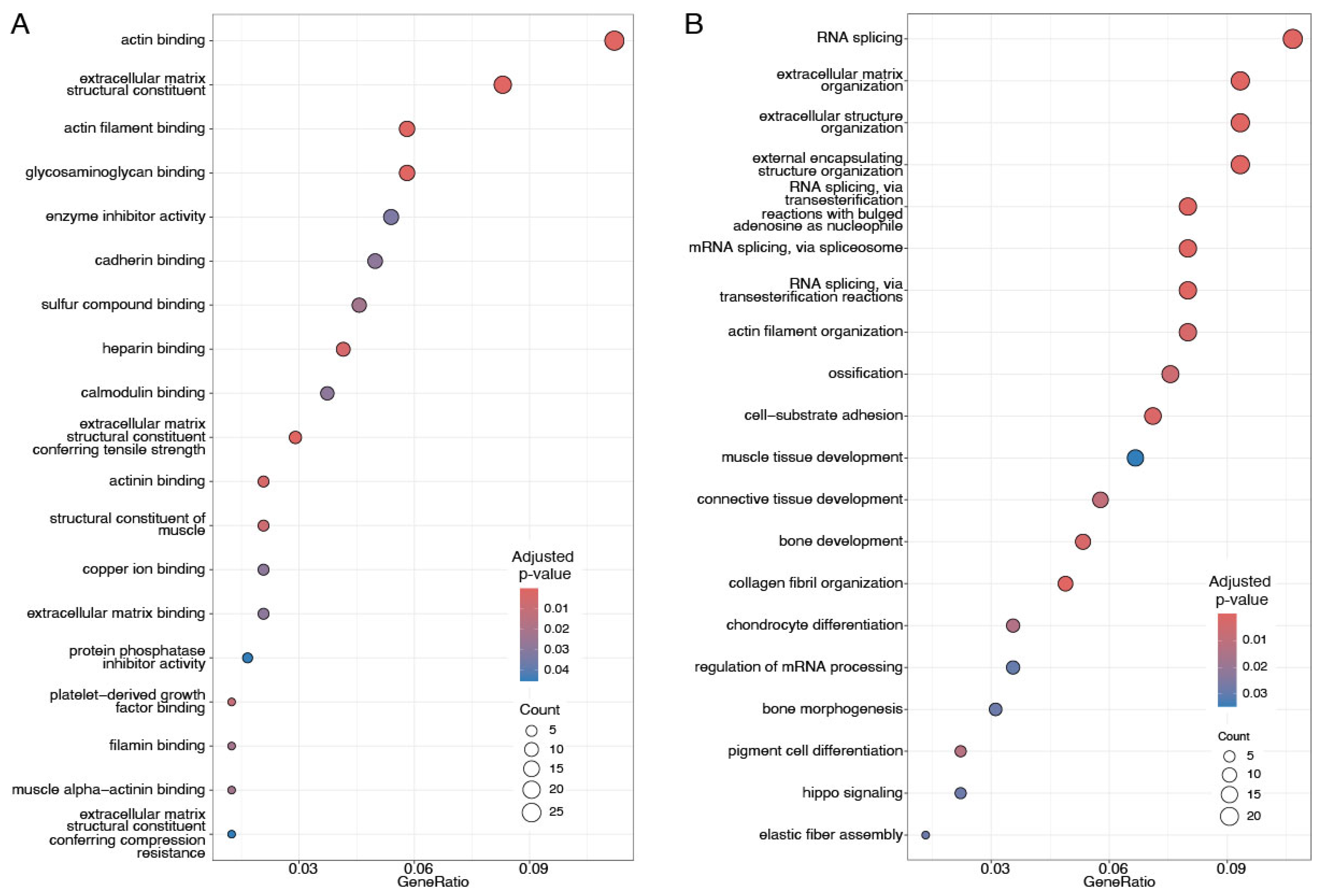 Cancers 17 02601 g005