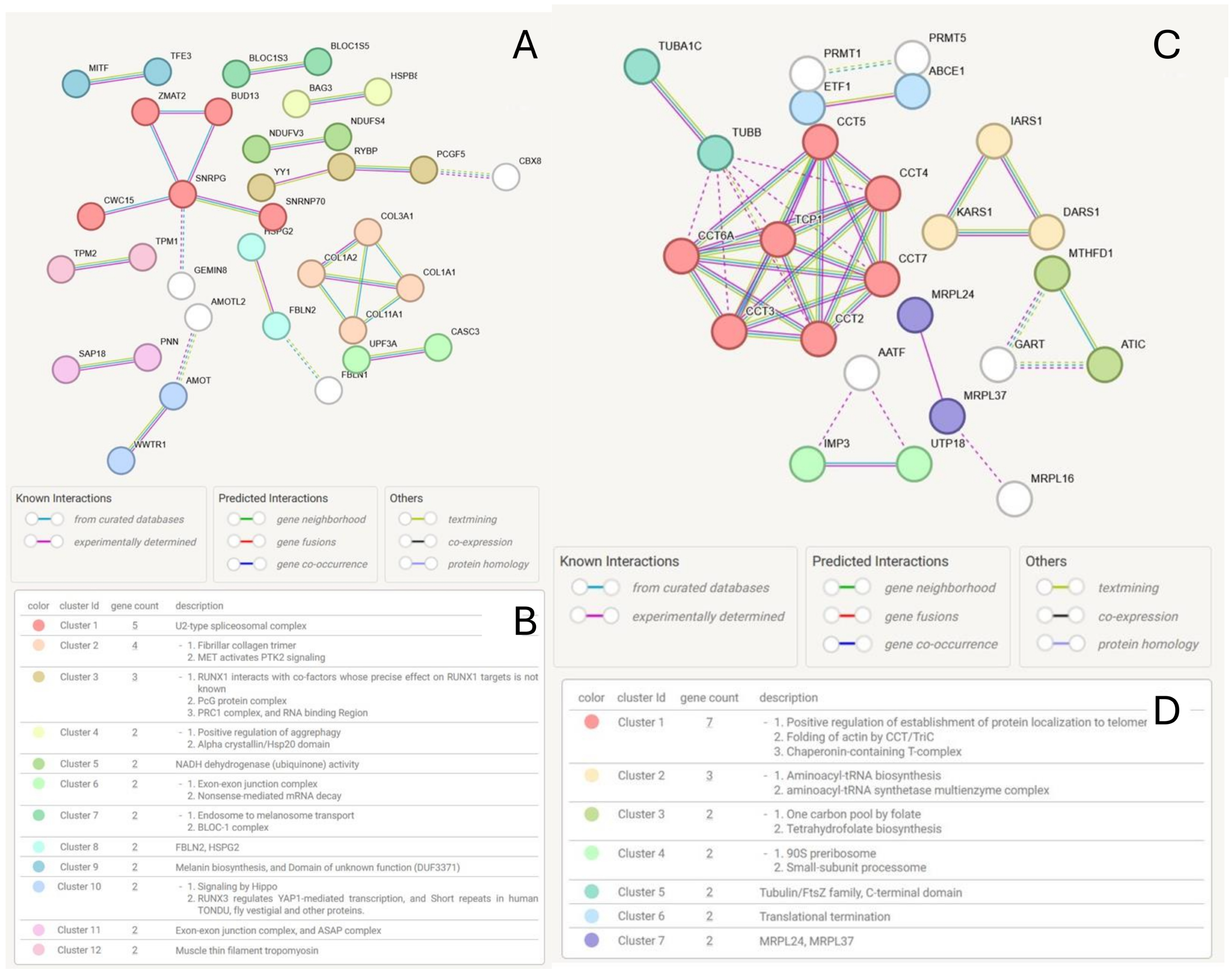 Cancers 17 02601 g007