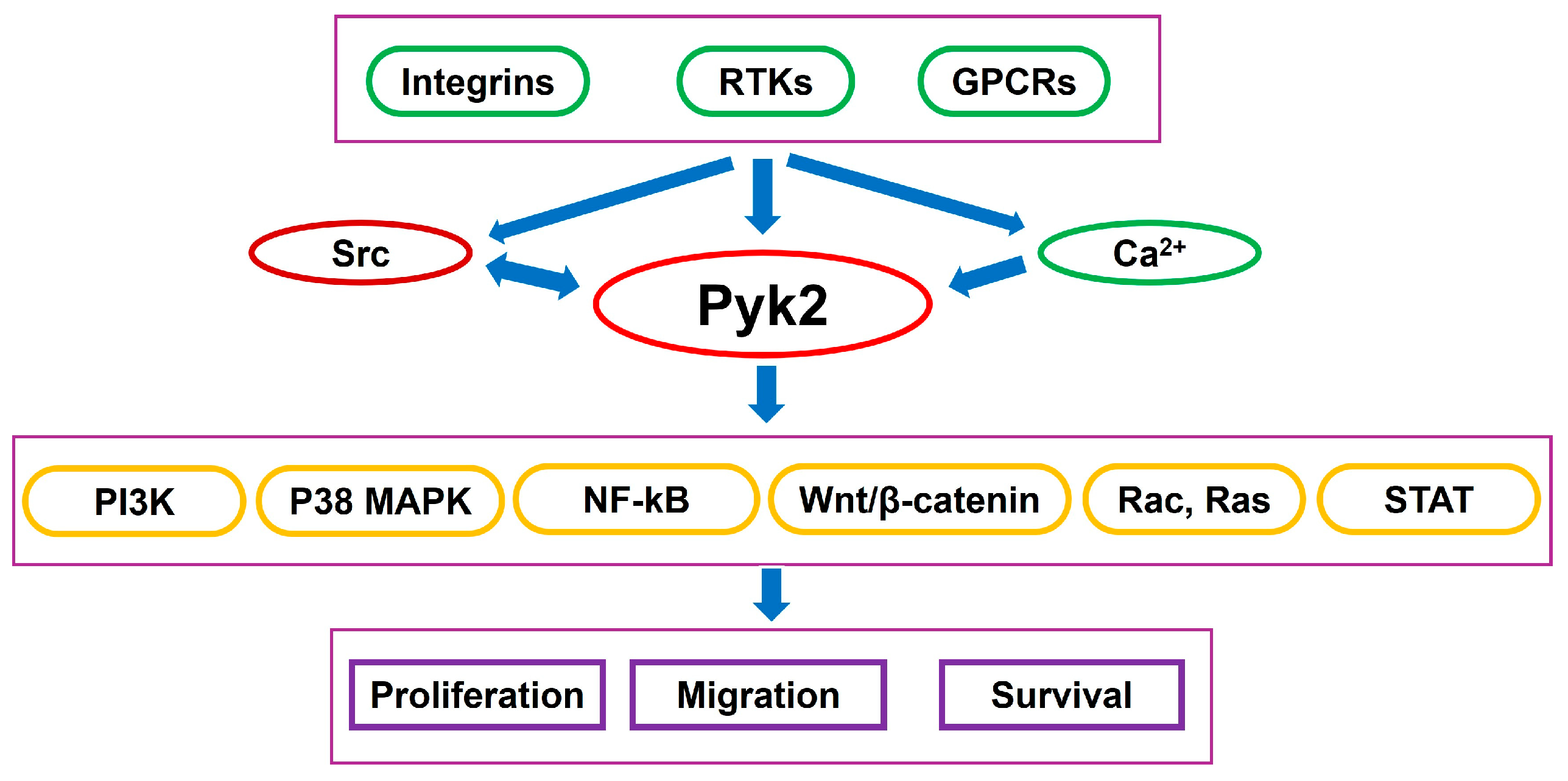 Cancers 17 02611 g001 Cancers 17 02611 g001