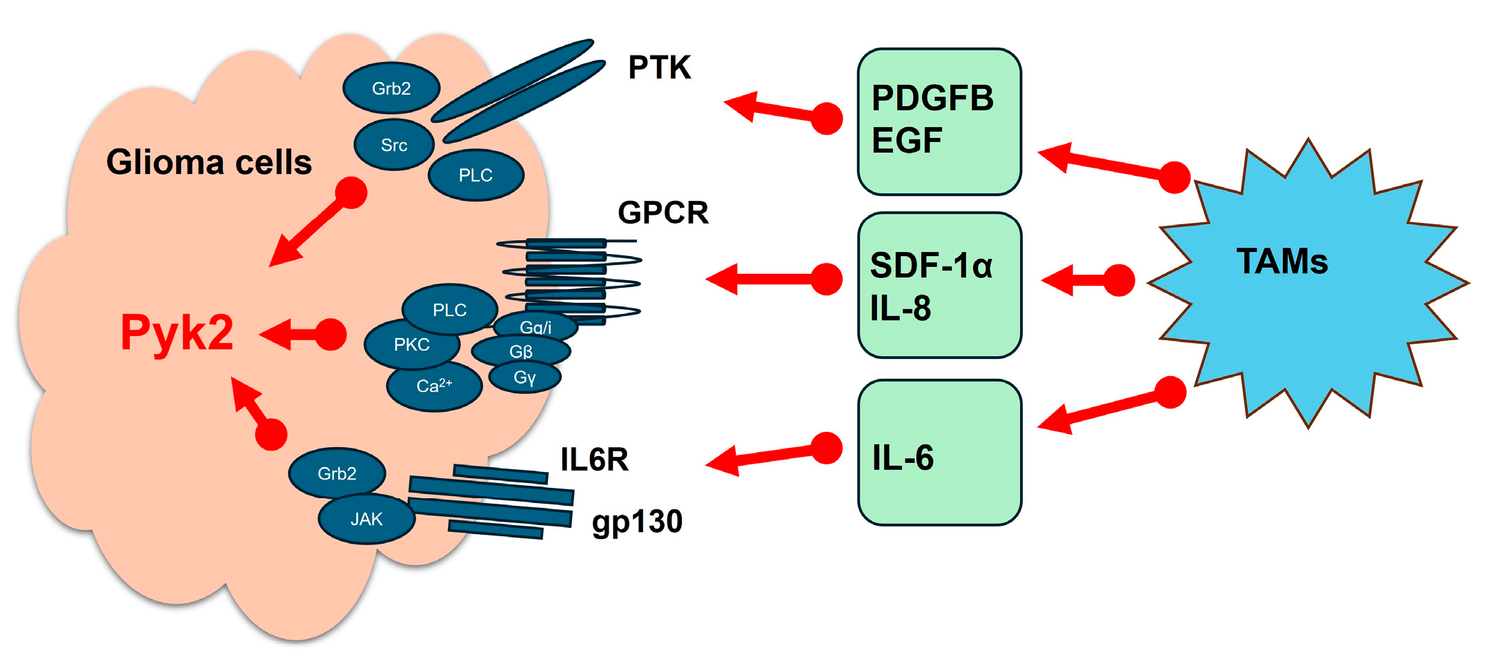 Cancers 17 02611 g002 Cancers 17 02611 g002