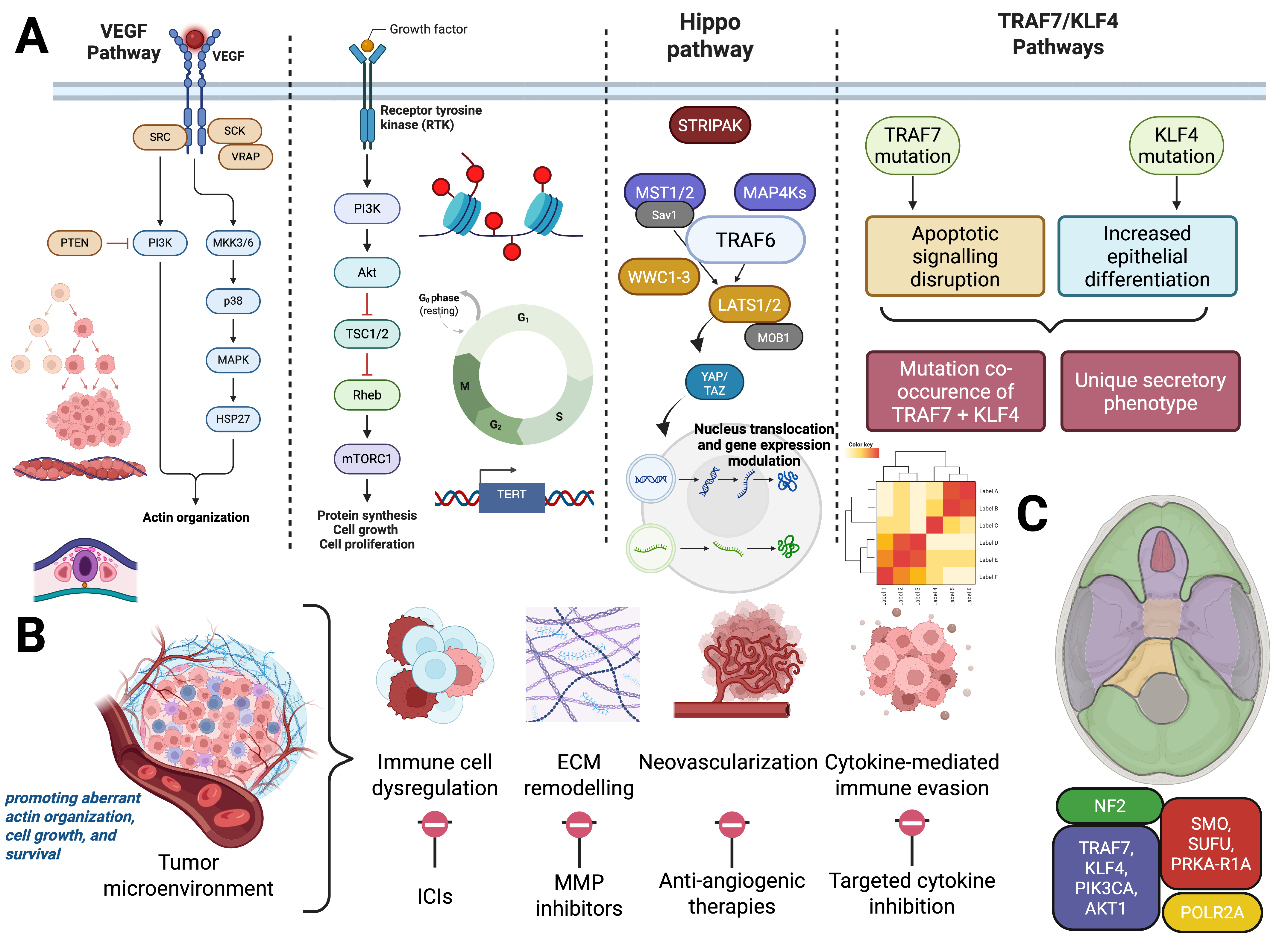 Cancers 17 02694 g001
