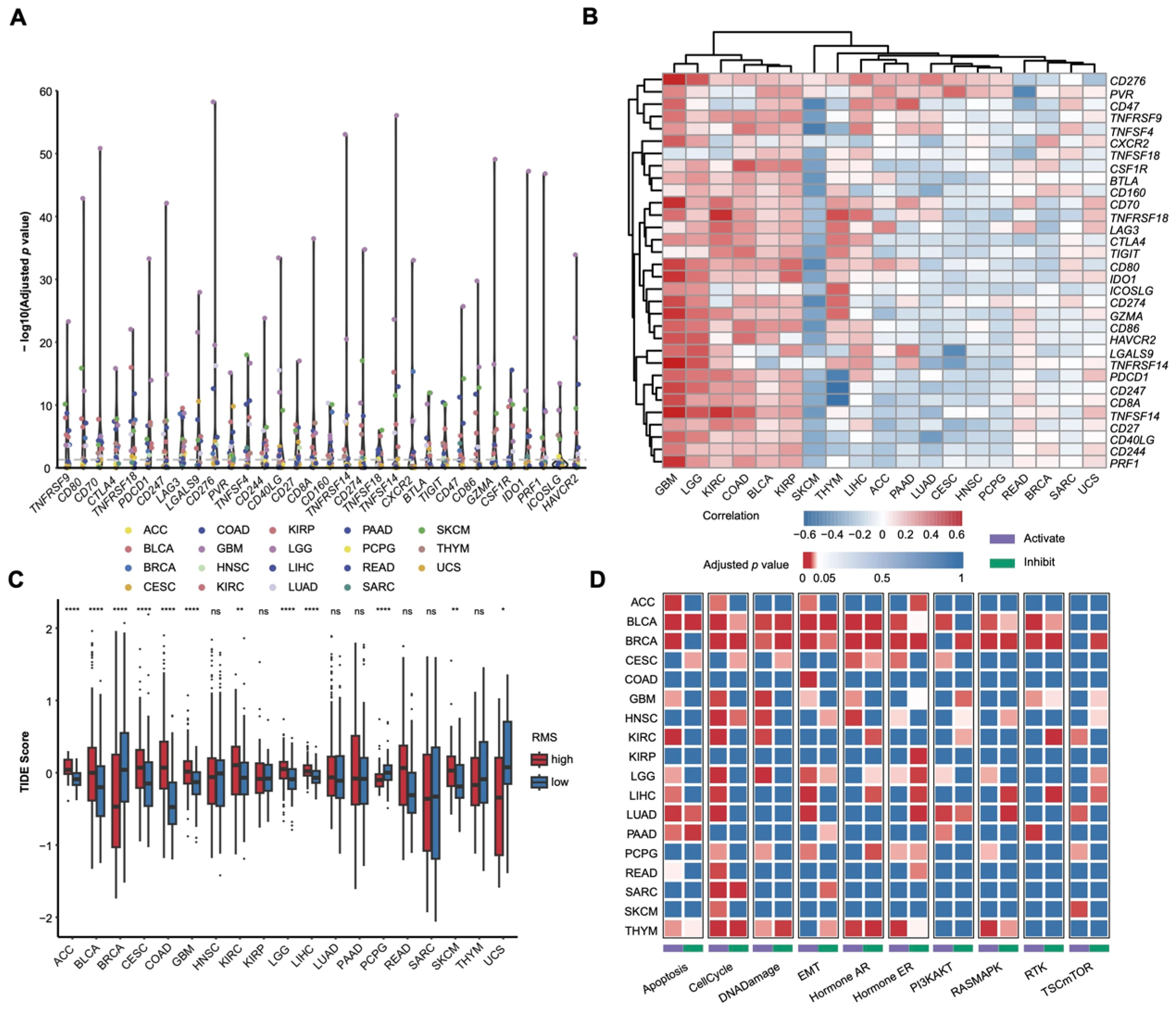 Cancers 17 02695 g004