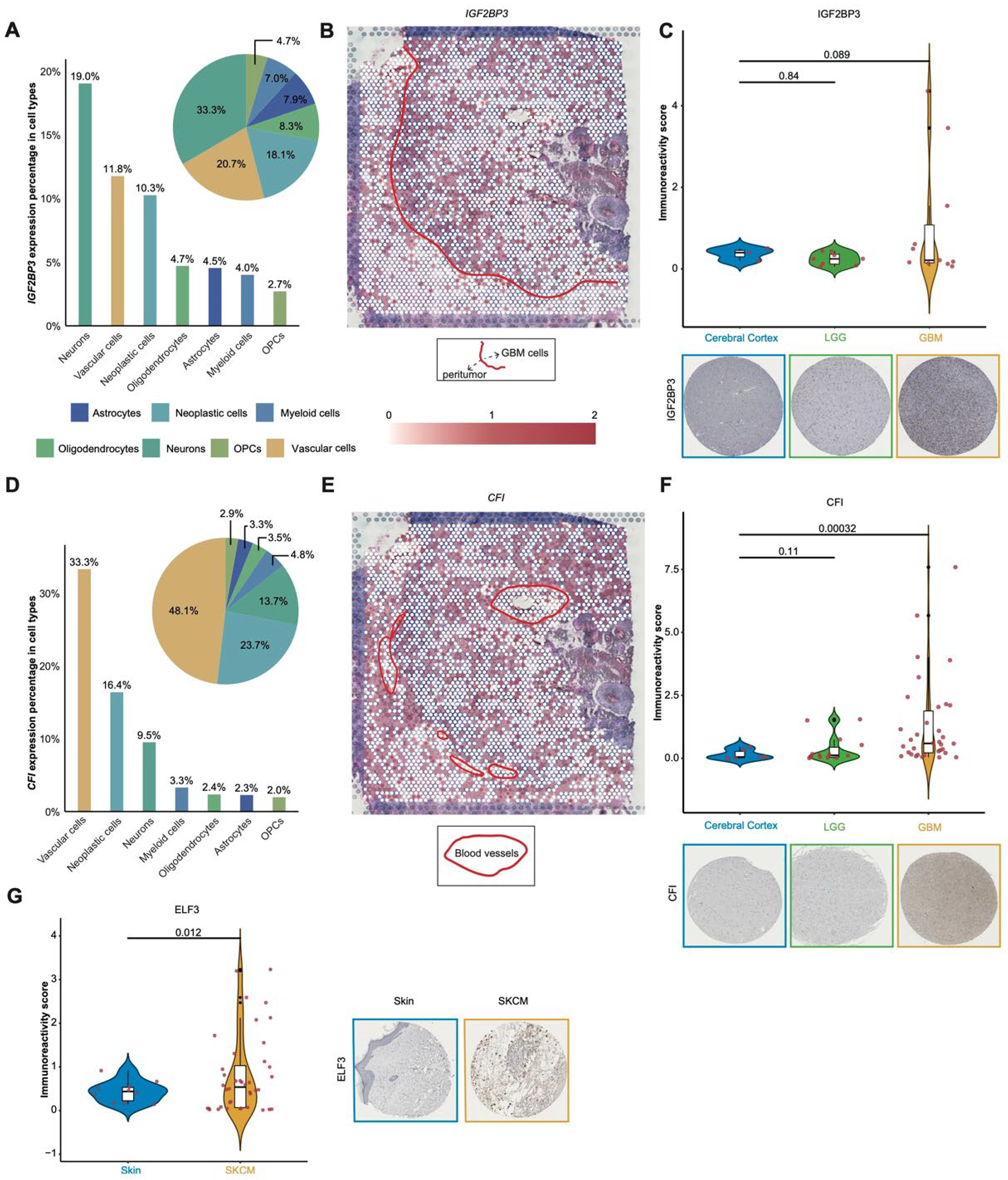 Cancers 17 02695 g006